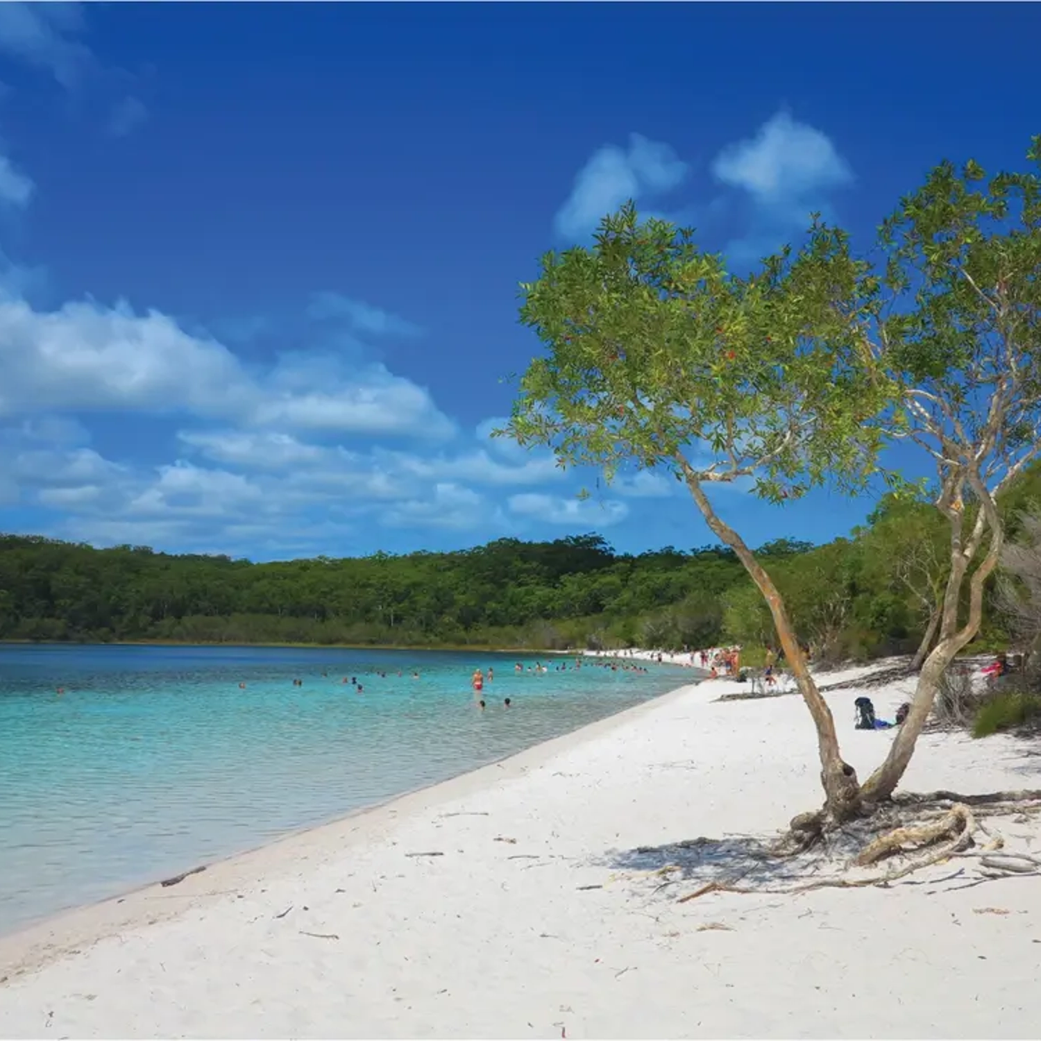 K'gari/Fraser Island Adventure Tour - Rainbow Beach Pickup