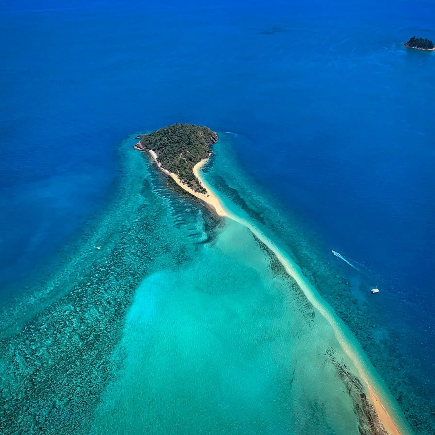 1 Day Whitsunday Sailing Explorer