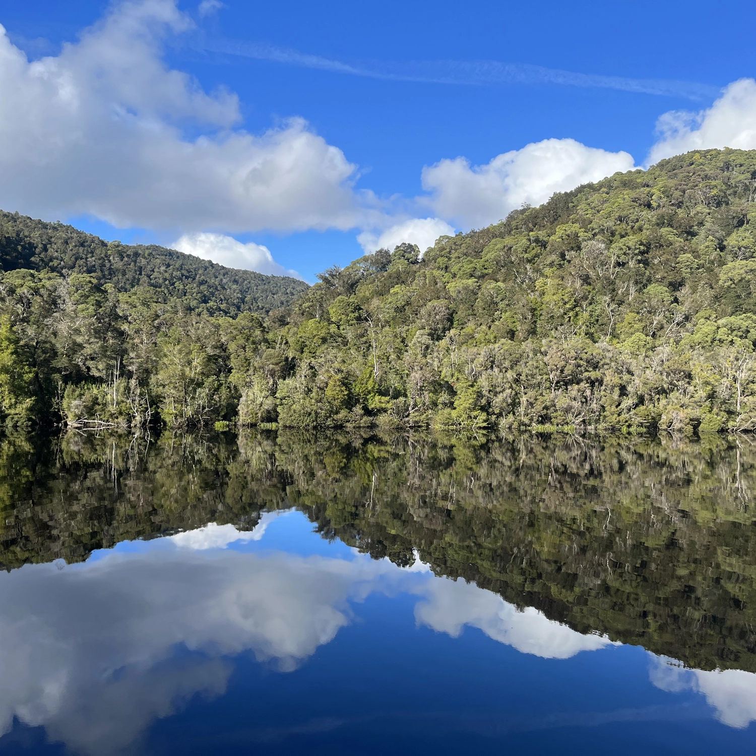 Comfort Tour — Ultimate Tasmania (10 Day) 7