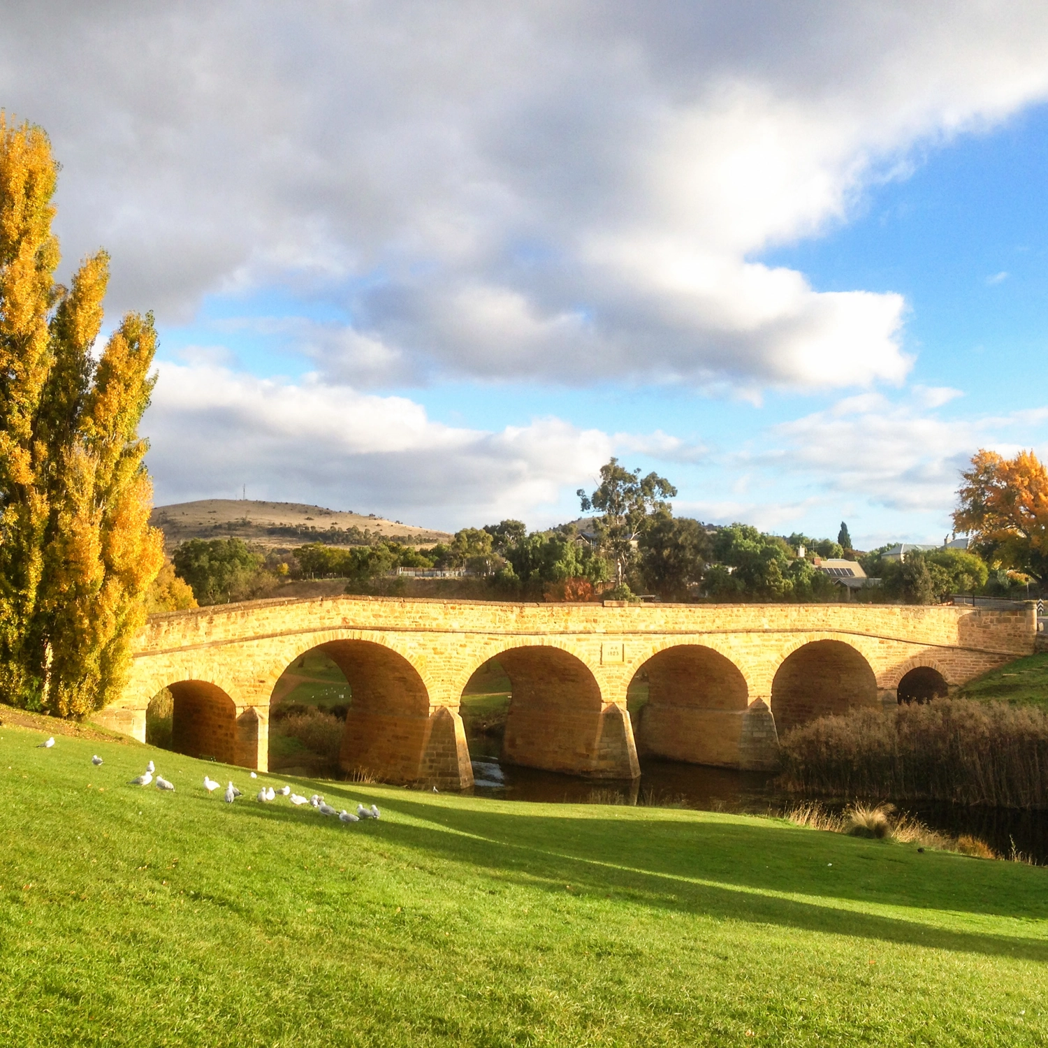 Comfort Tour — Ultimate Tasmania (10 Day) 5