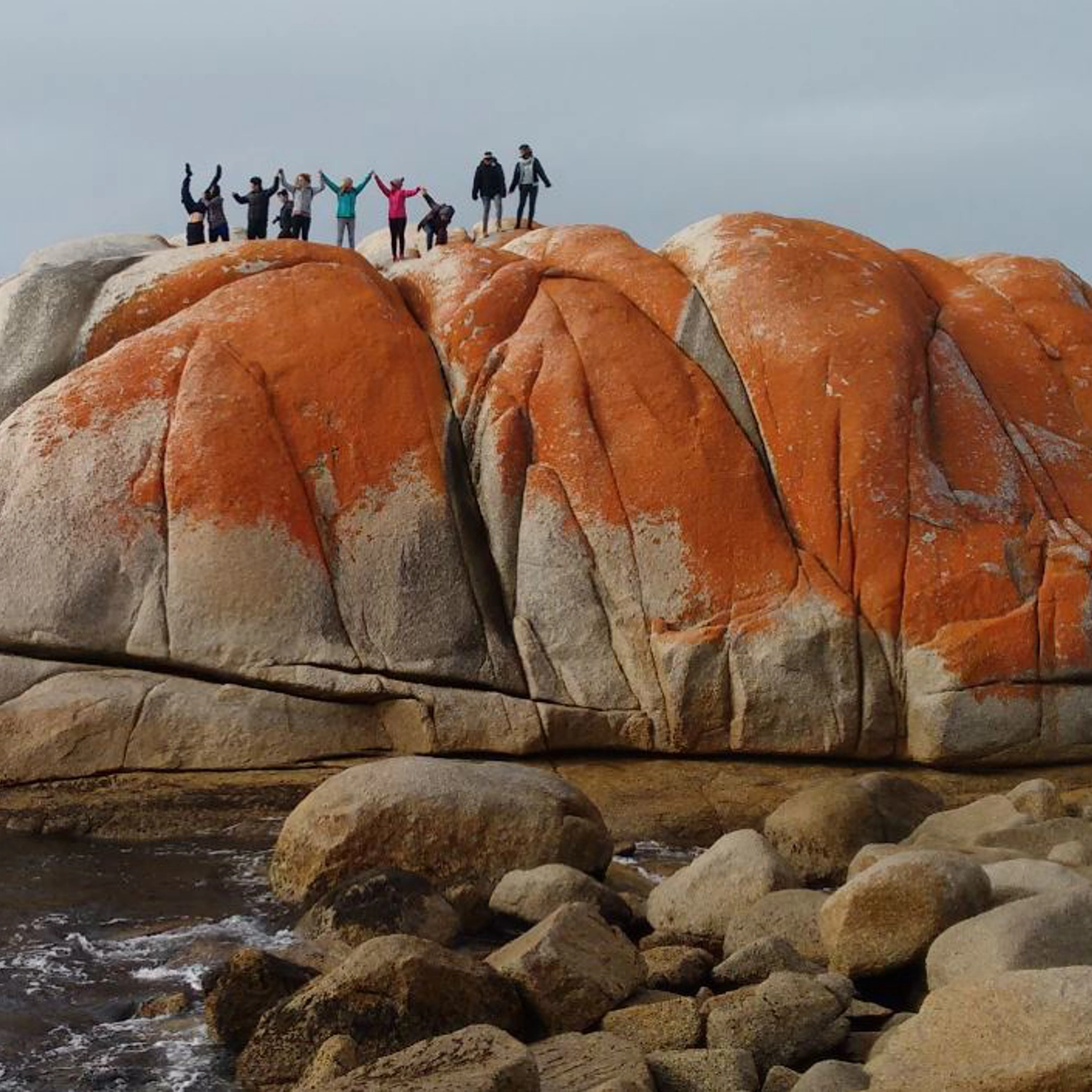 Comfort Tour — Ultimate Tasmania (10 Day) 2