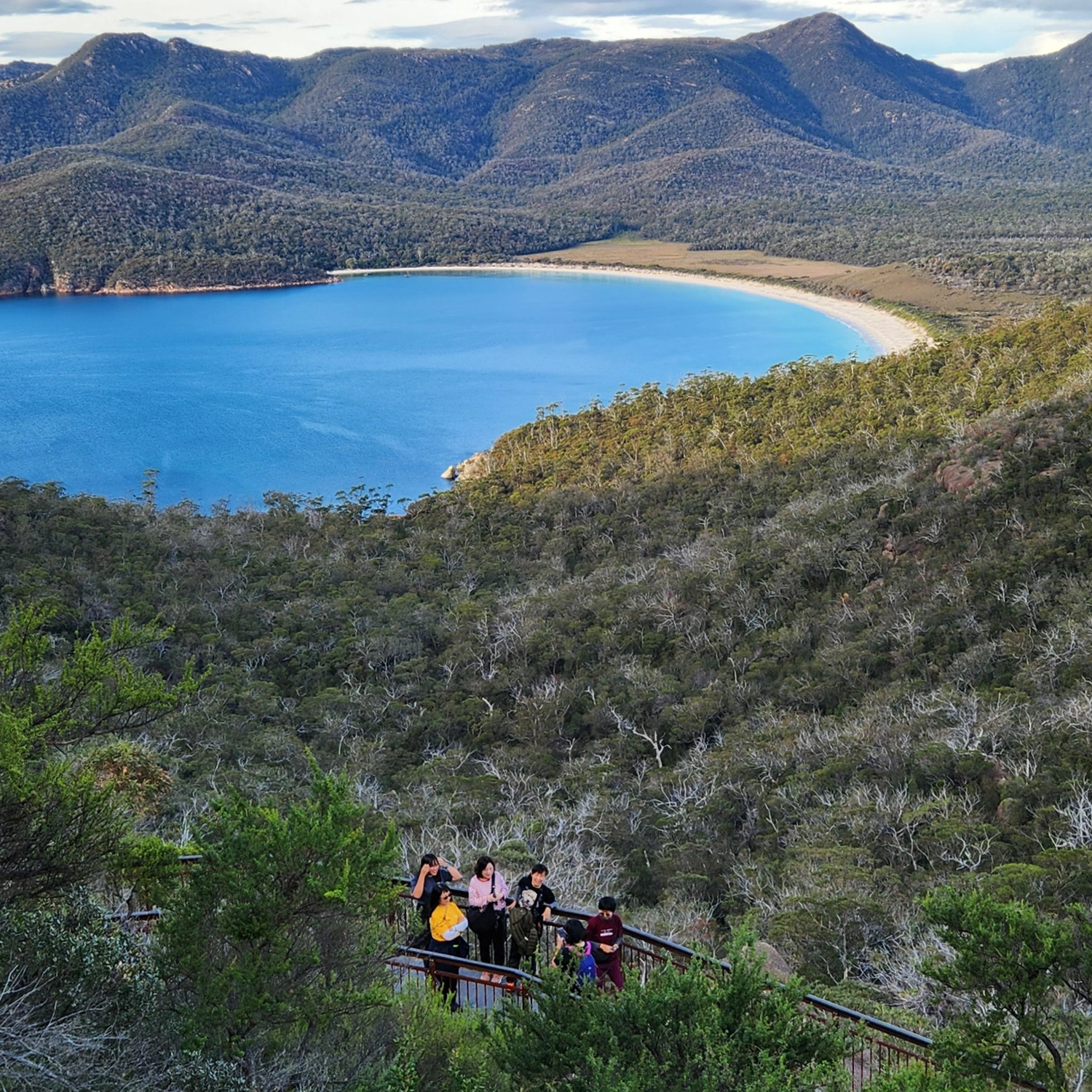 Comfort Tour — Ultimate Tasmania (10 Day) 3