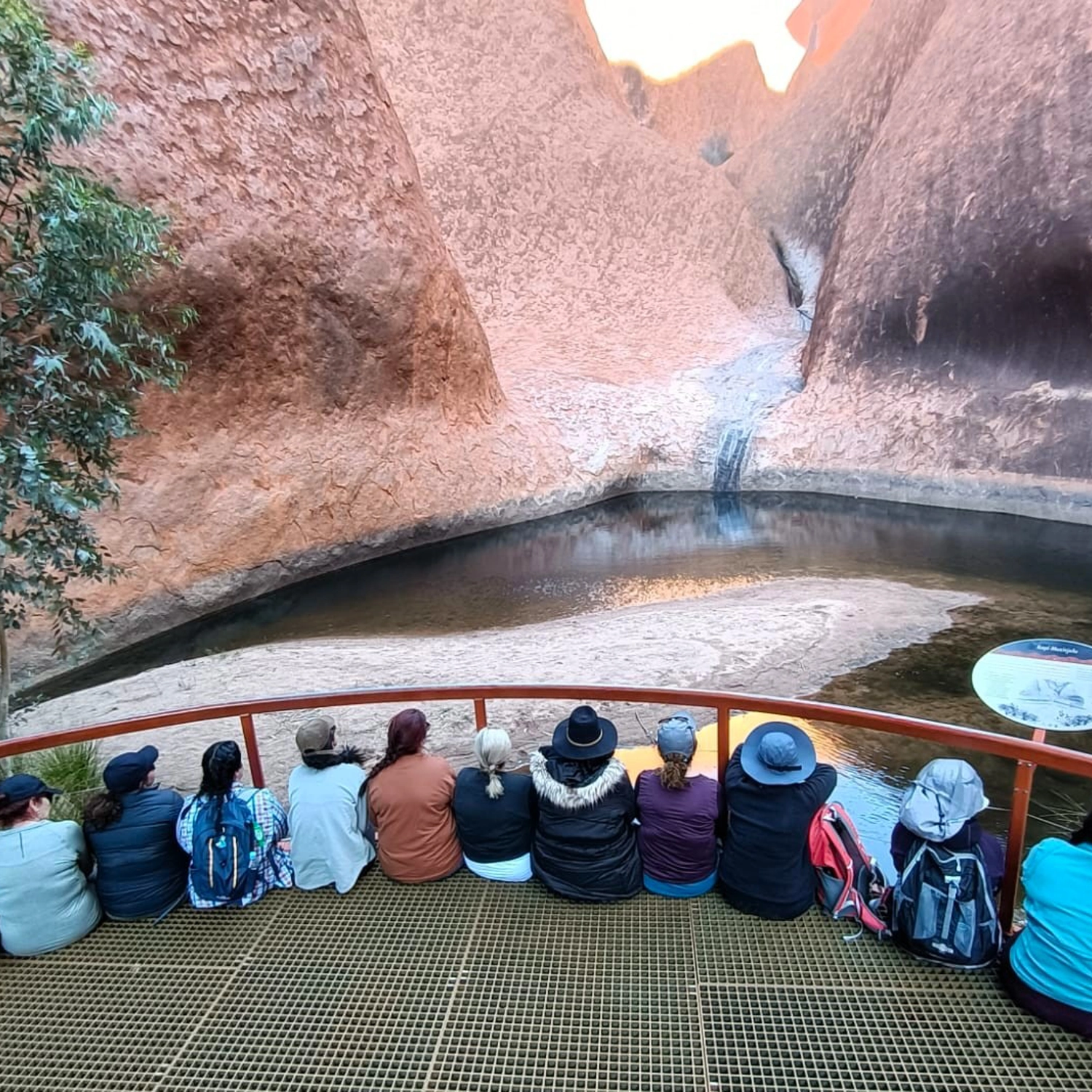 Red Centre Uluru Rock Adventure (Swag) 10