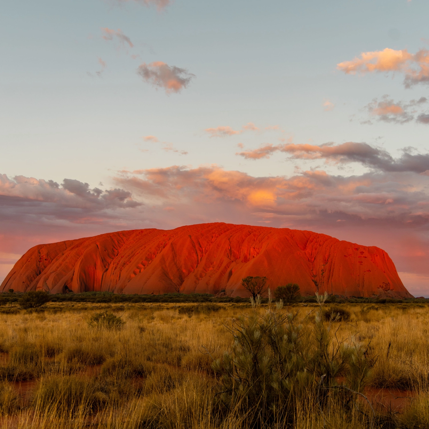 Red Centre Uluru Rock Adventure (Swag) 4