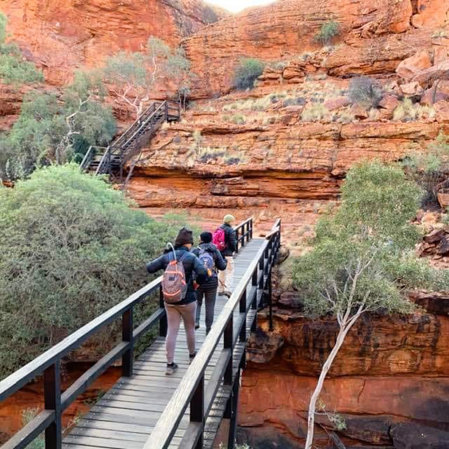 Red Centre Uluru Rock Adventure (Tent) 10