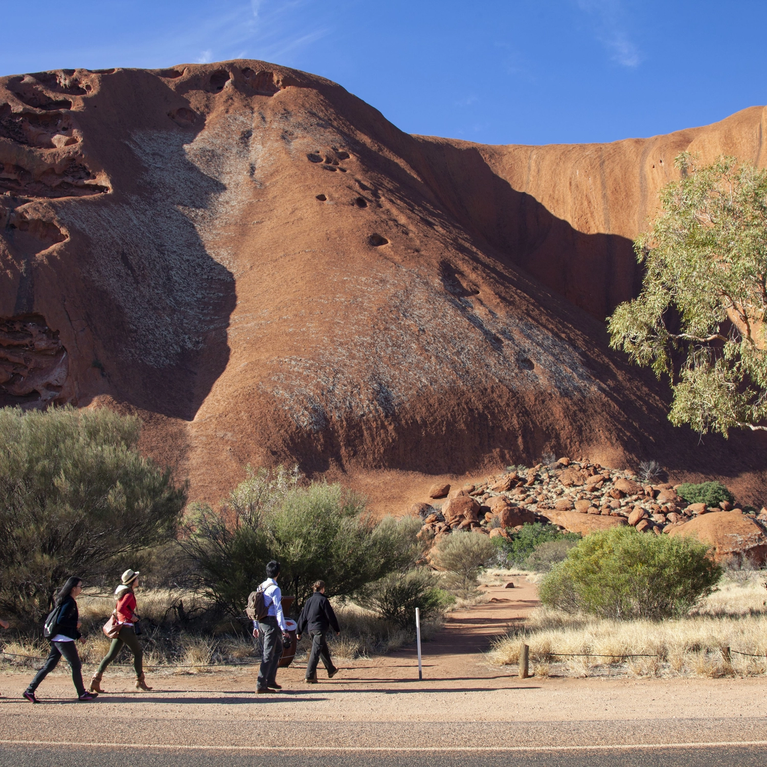 Red Centre Uluru Rock Adventure (Tent) 8