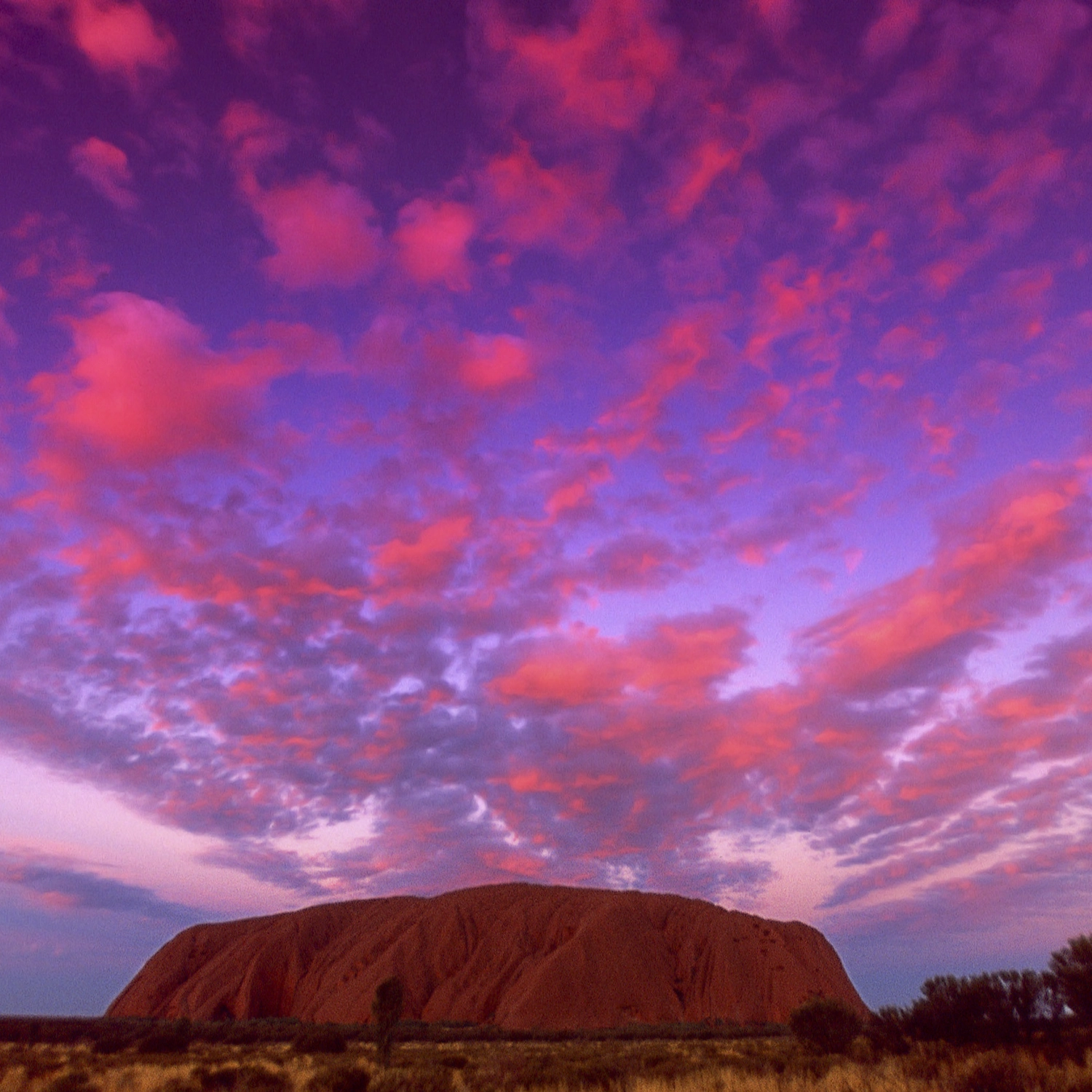 Red Centre Uluru Rock Adventure (Tent) 7