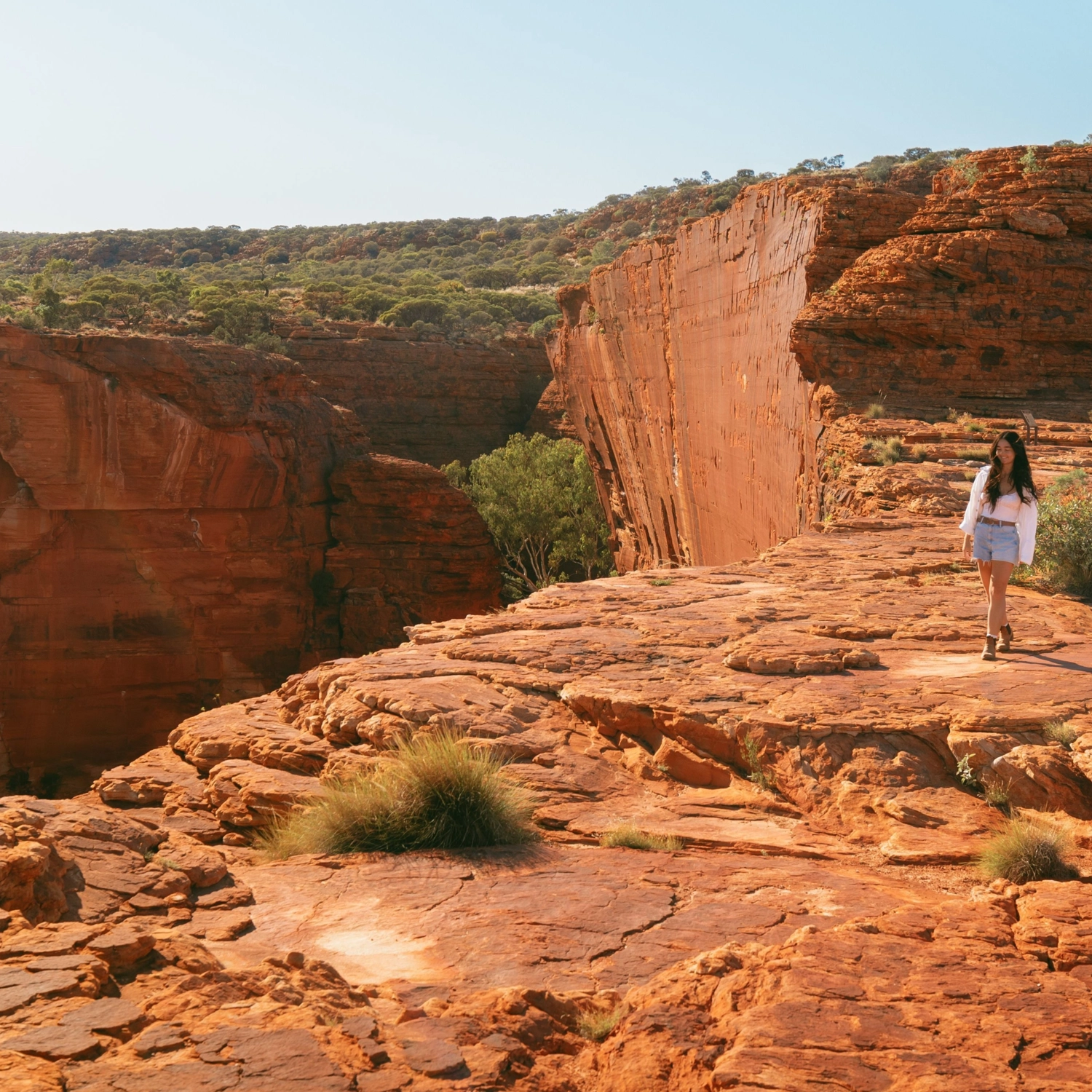Uluru Kings Canyon Rock Adventure: Swag (Yulara Start) 4