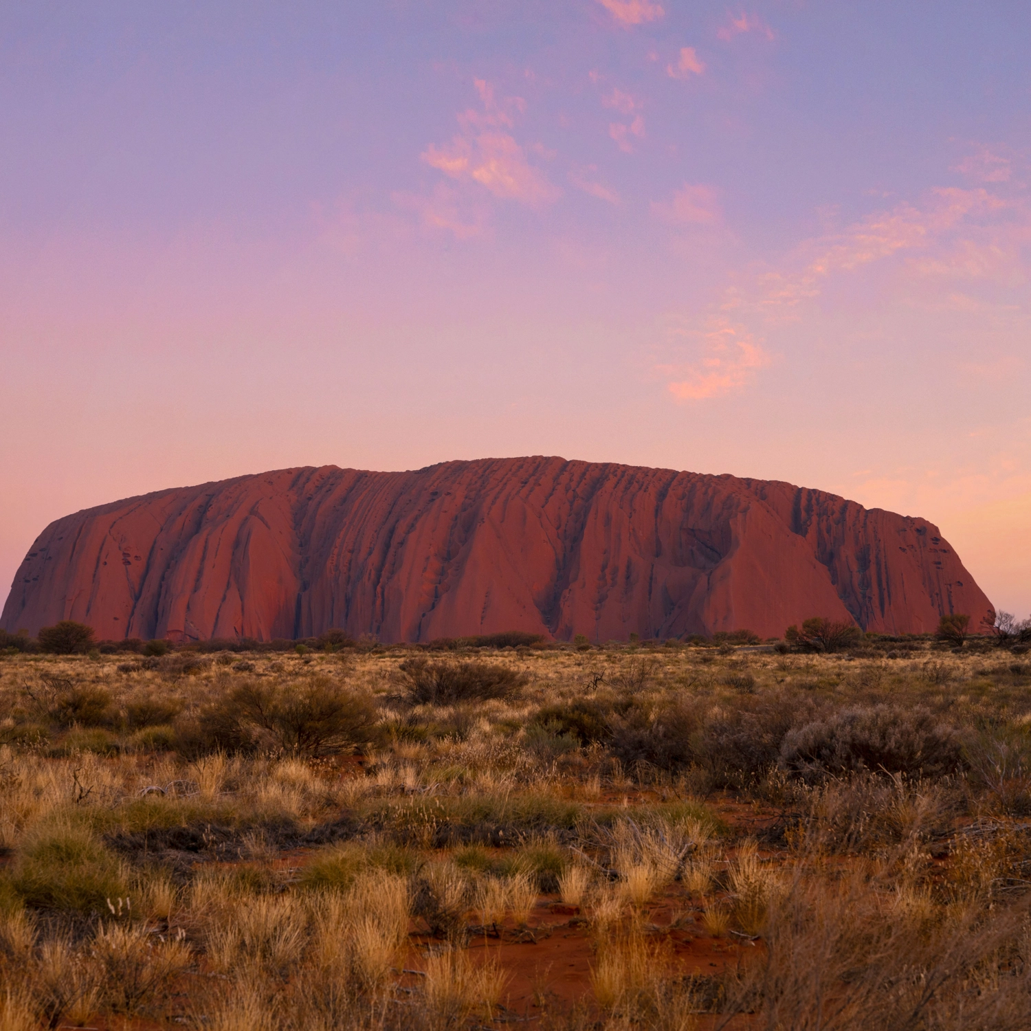 Uluru Kings Canyon Rock Adventure: Swag (Yulara Start) 7
