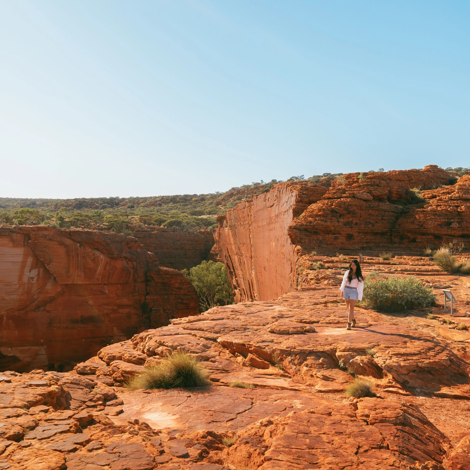 Uluru Kings Canyon Rock Adventure: Tent (Yulara Start) 4