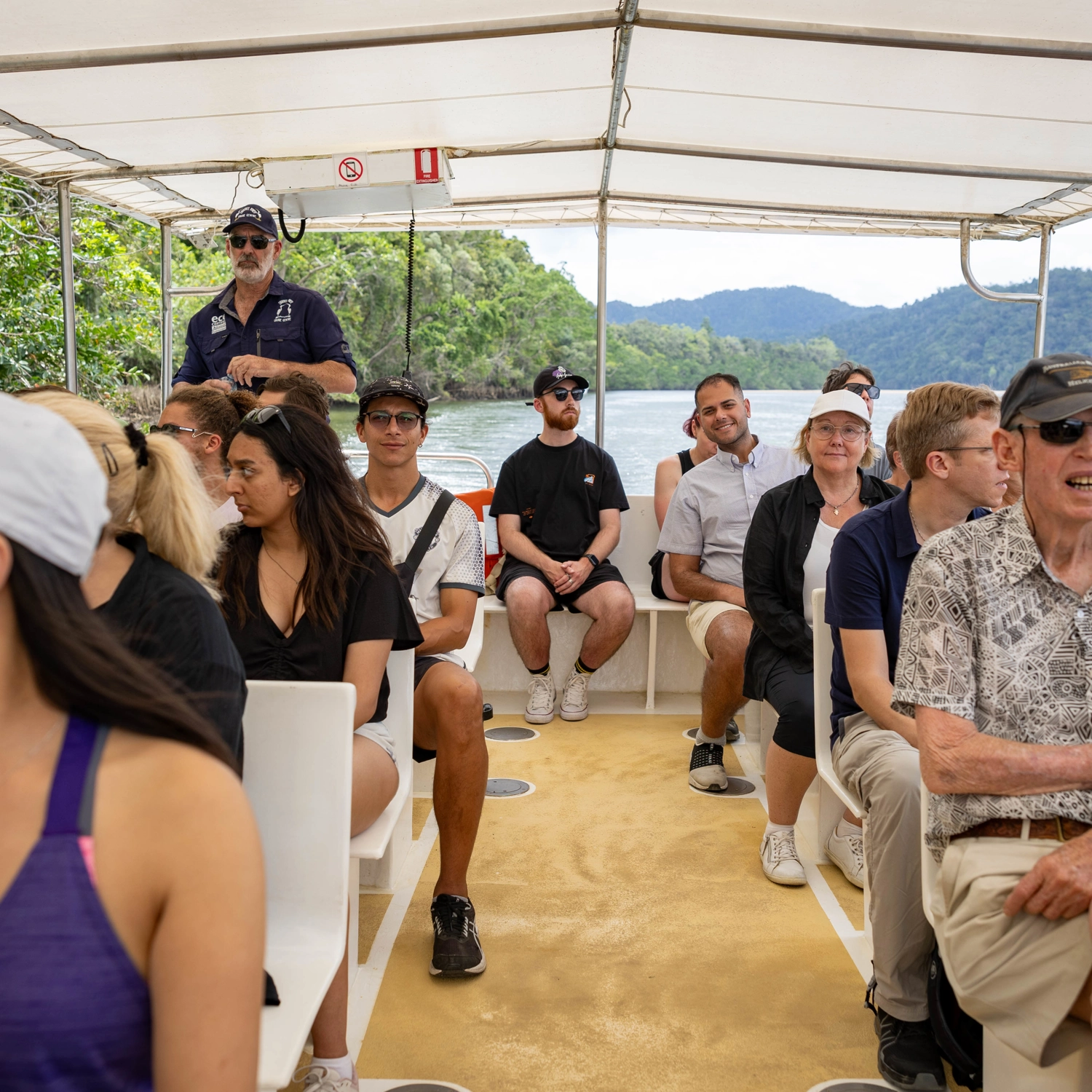 Daintree Rainforest Day Tour 4