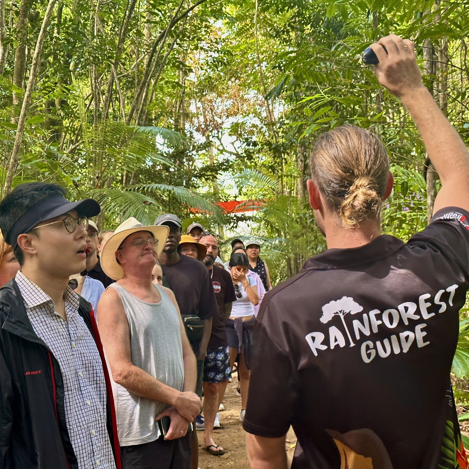 Daintree Rainforest Day Tour 2