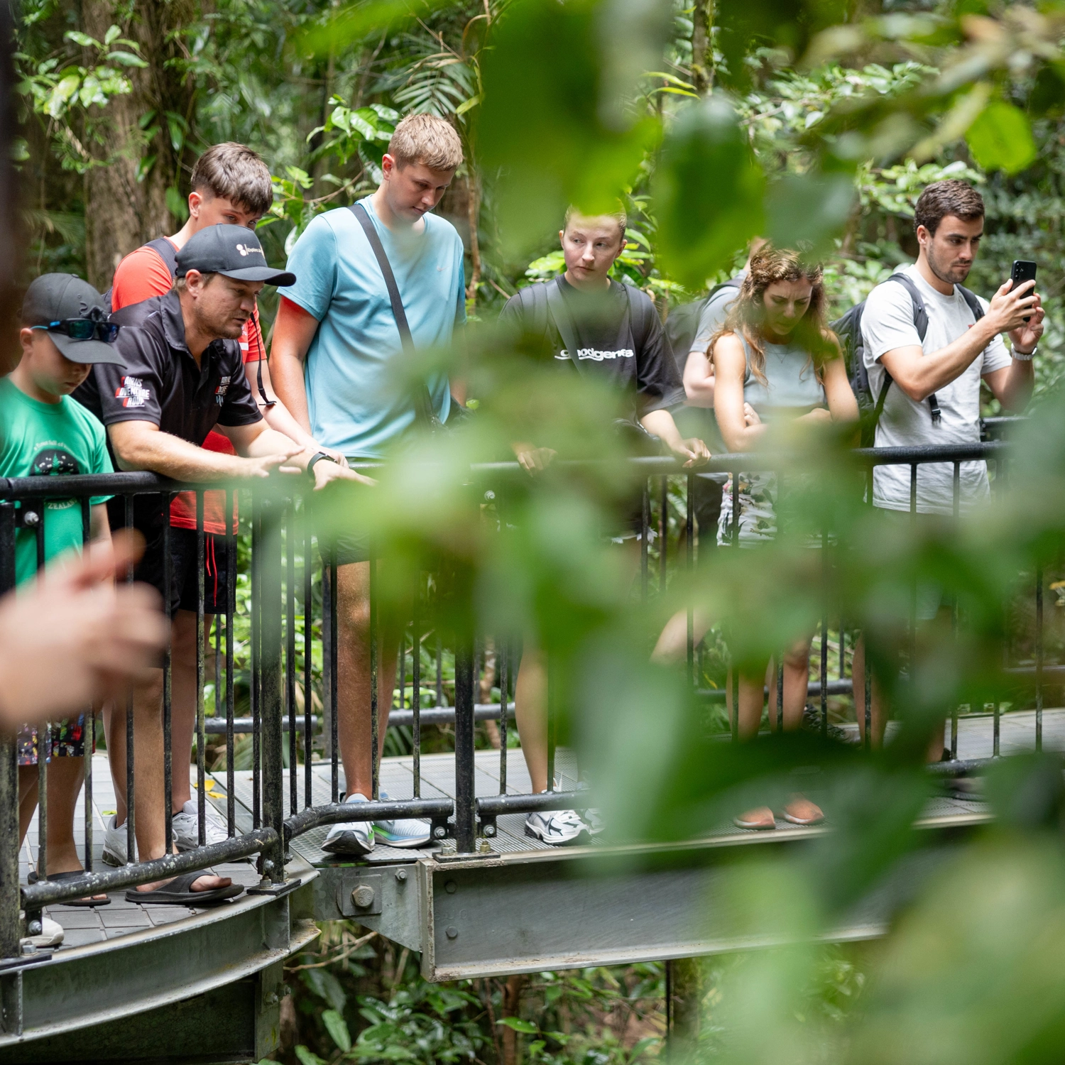 Natural Explorers (Waterfalls & Daintree) 3