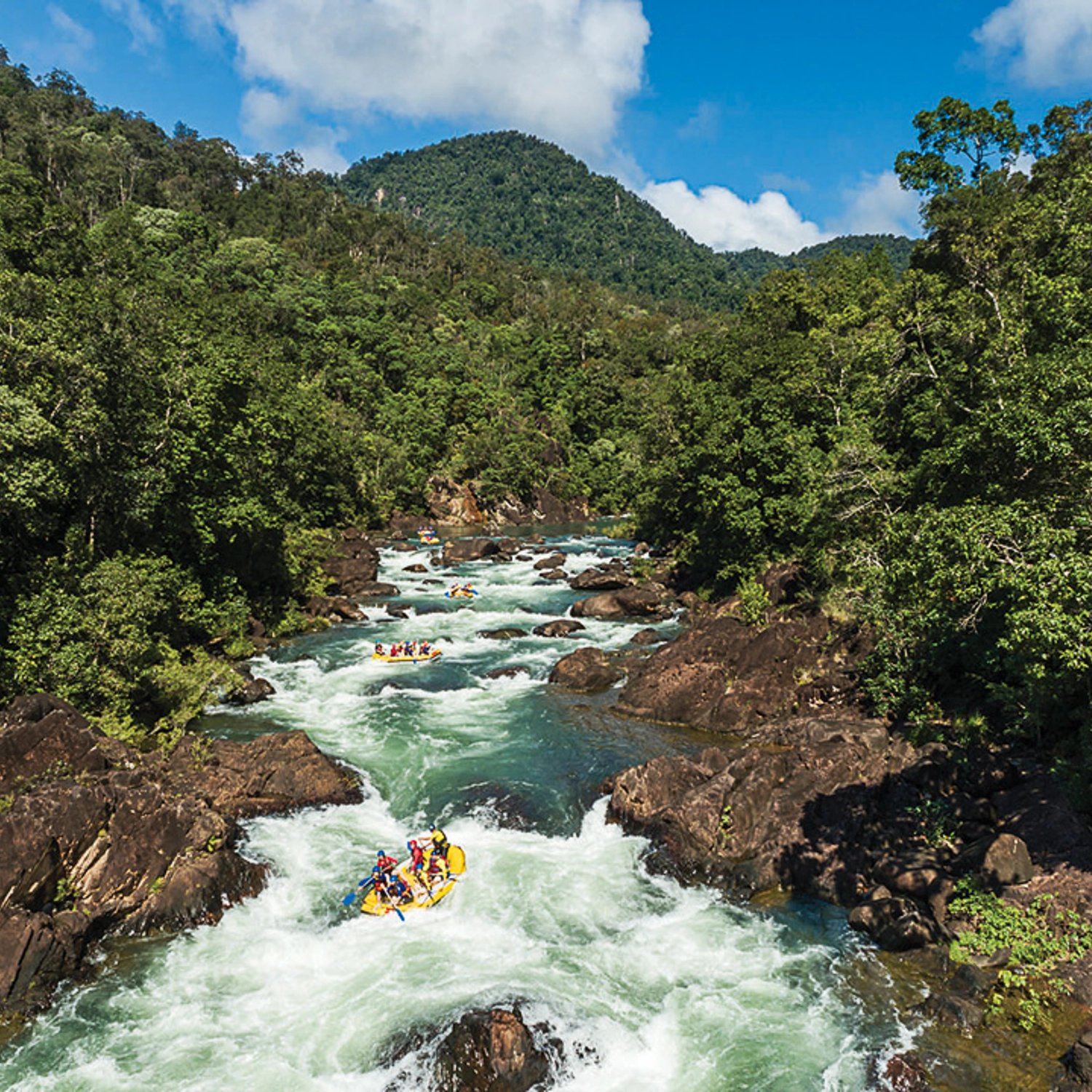 Daintree Flow (Tully Rafting & Daintree Tour) 3