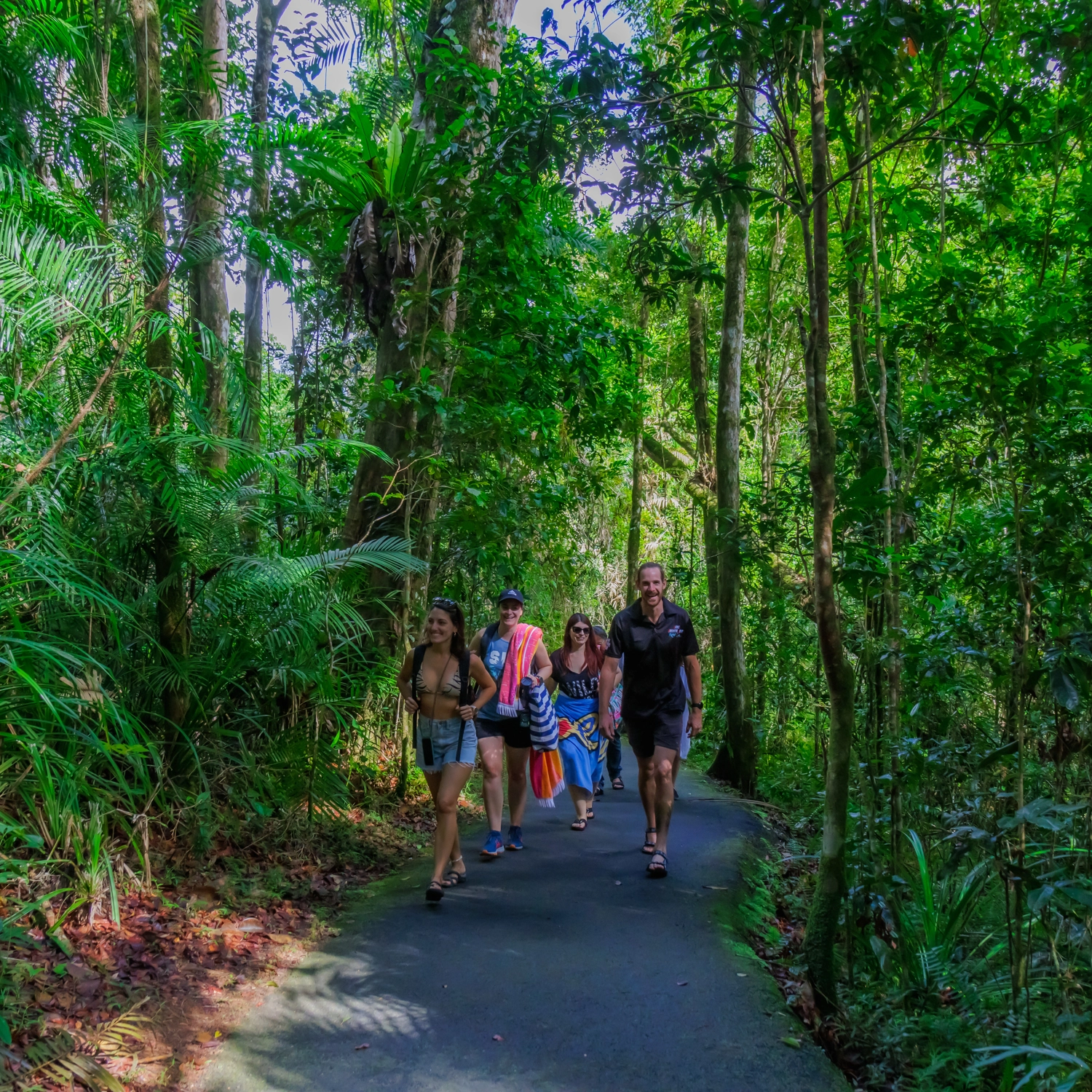 Waterfall Tours (Departs Cairns) 7