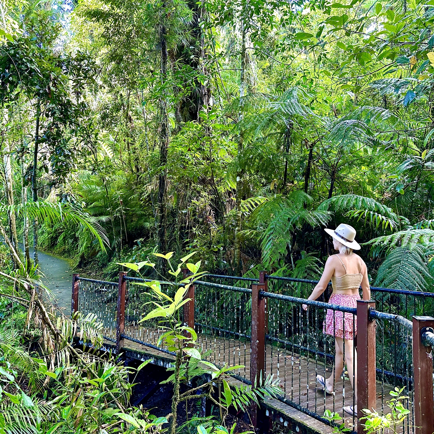 Waterfall Tours (Departs Cairns) 2
