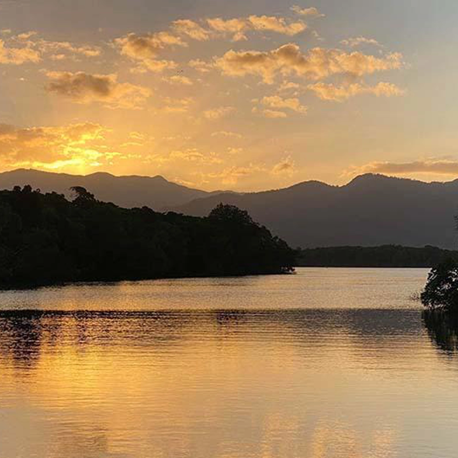 Cairns Sunset River Cruise