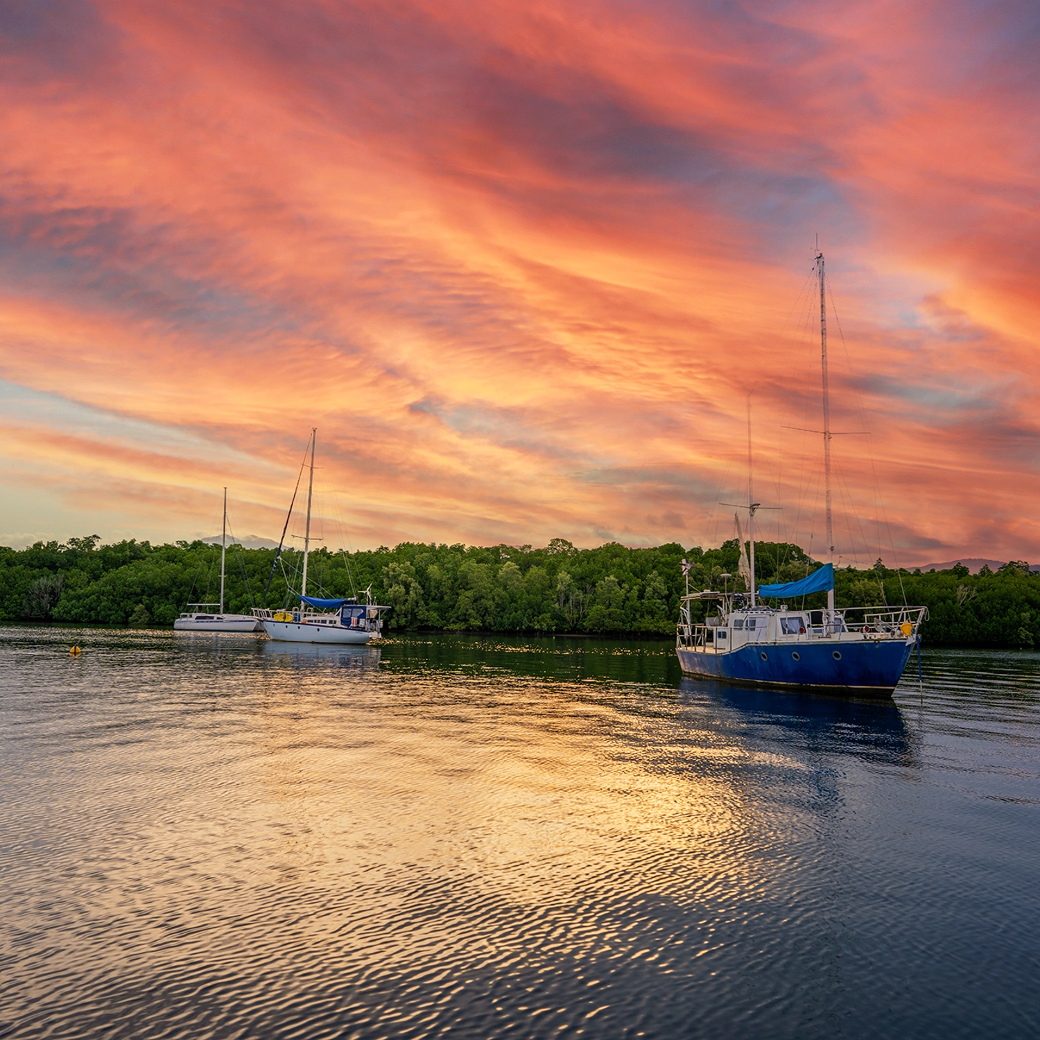 Cairns Sunset River Cruise 4