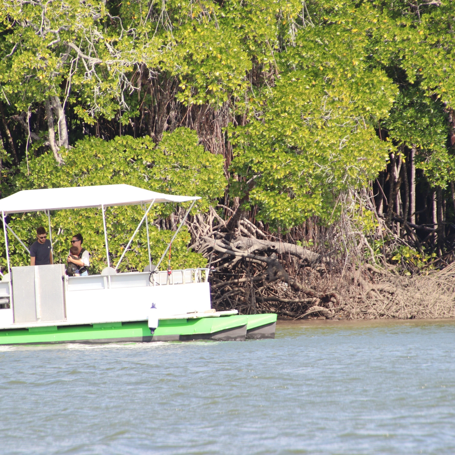 Cairns Boat Hire (8 Man Pontoon Boat) 7