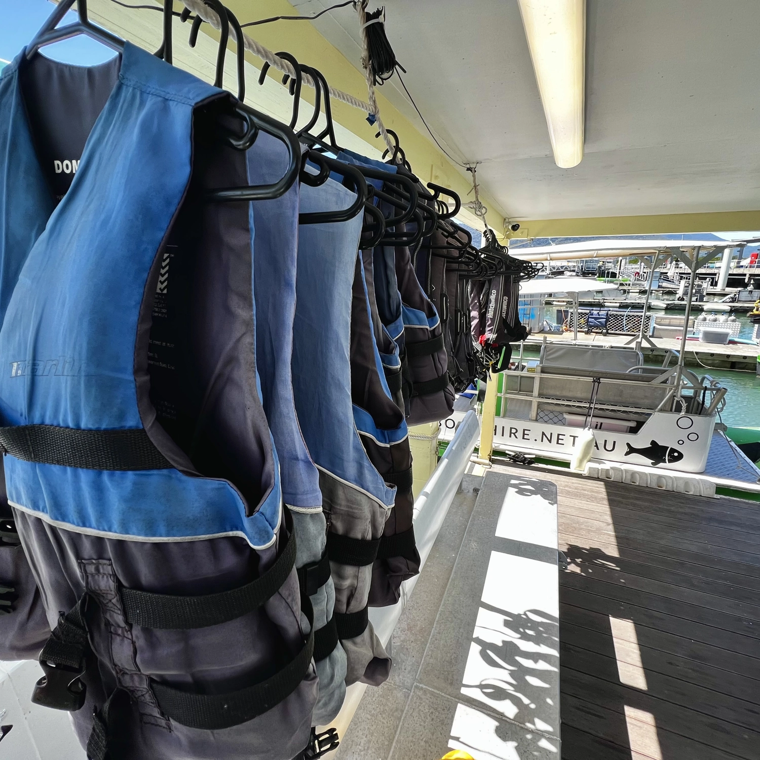 Cairns Boat Hire (8 Man Pontoon Boat) 4