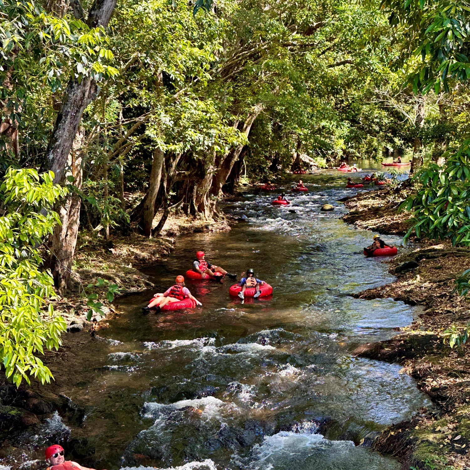 Tube & Turbo (River Tubing & Cairns Jetboat) 2