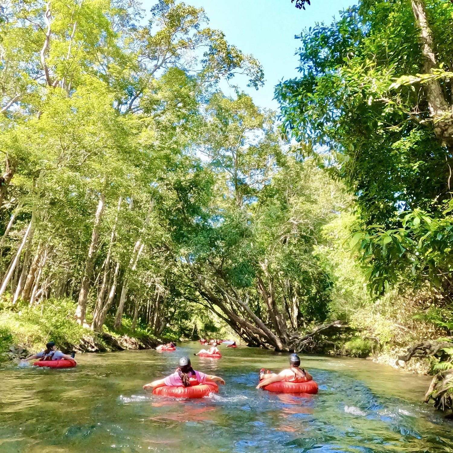 Tube & Turbo (River Tubing & Cairns Jetboat)