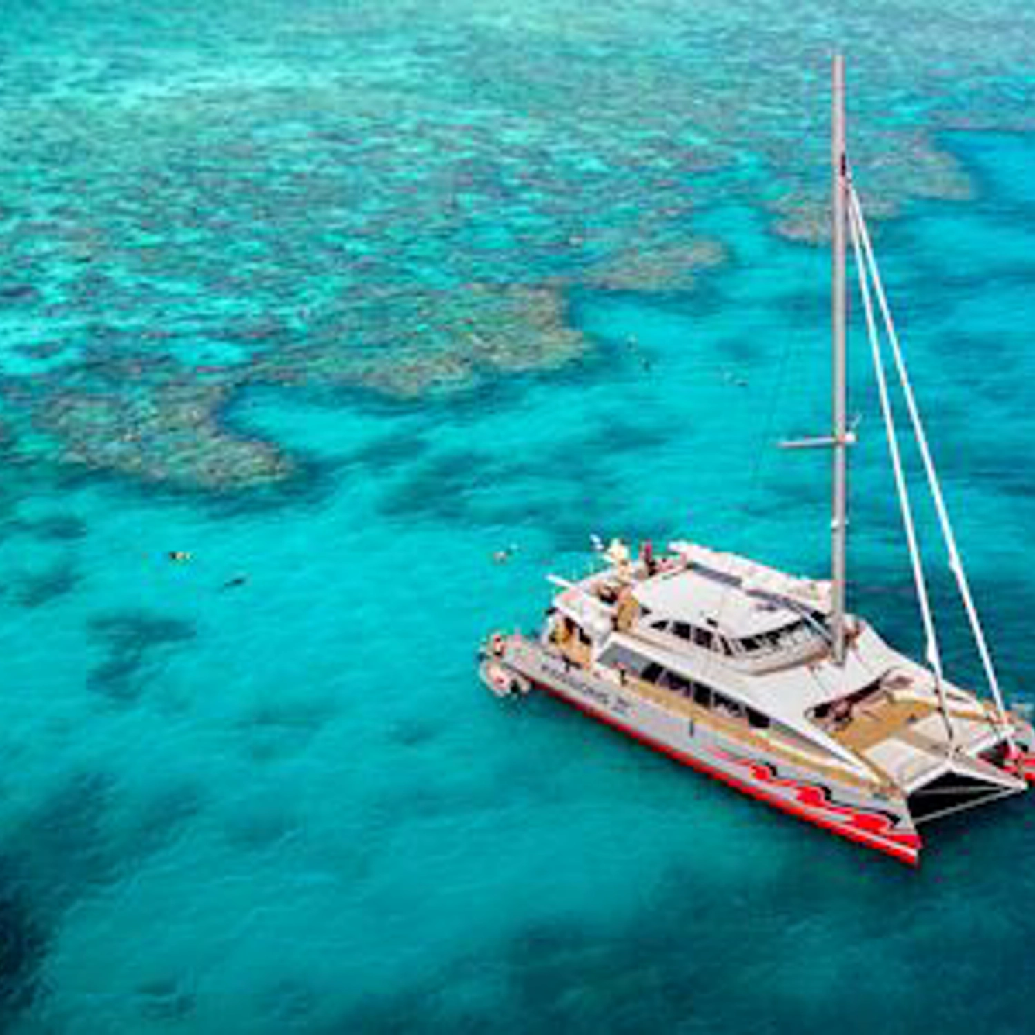 Full Day Outer Reef + Intro Dive