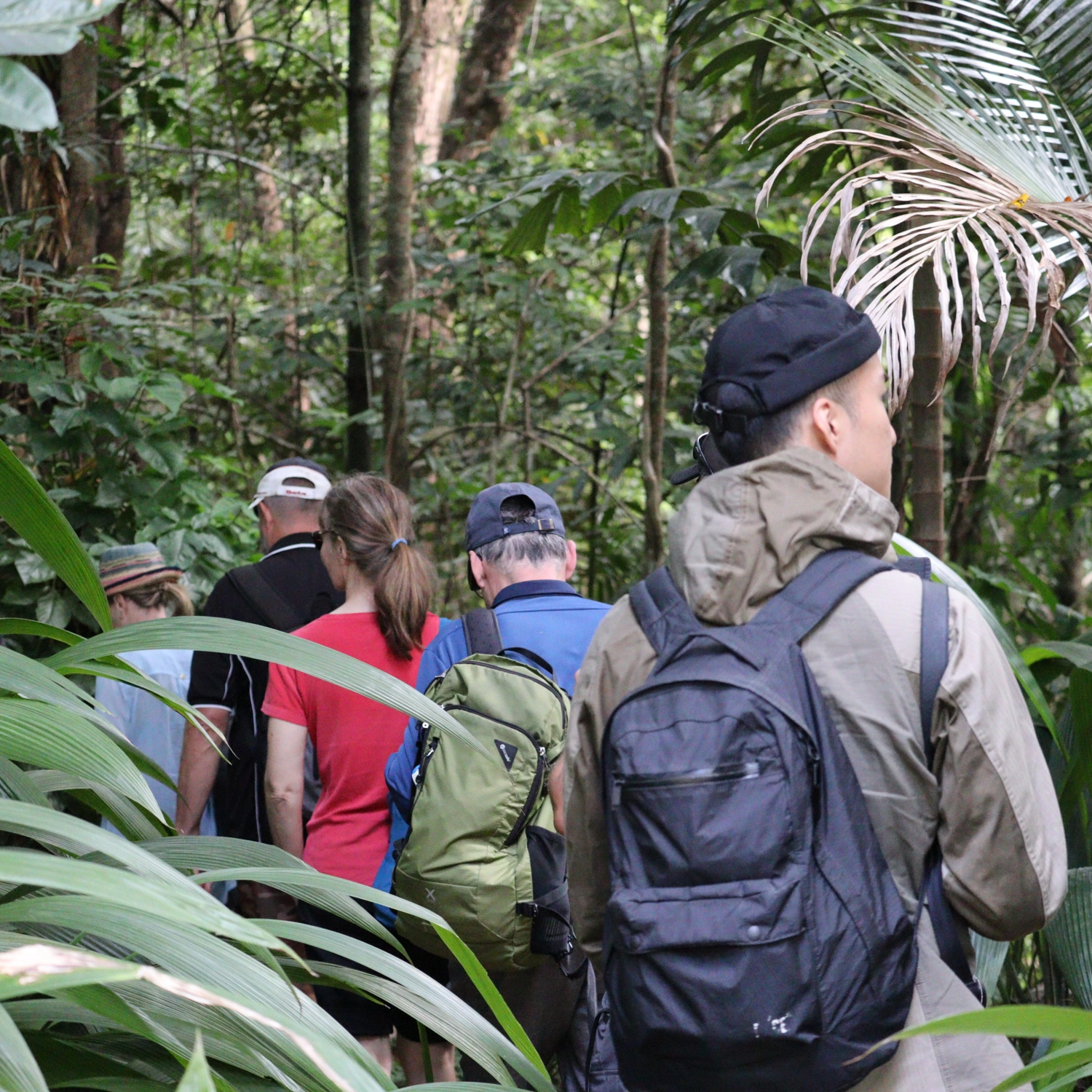 Daintree Discover: Rainforest & Reef (2 Day)