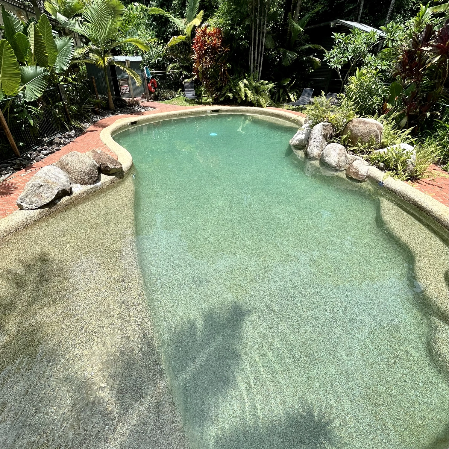Daintree Discover: Rainforest & Reef (2 Day) 3