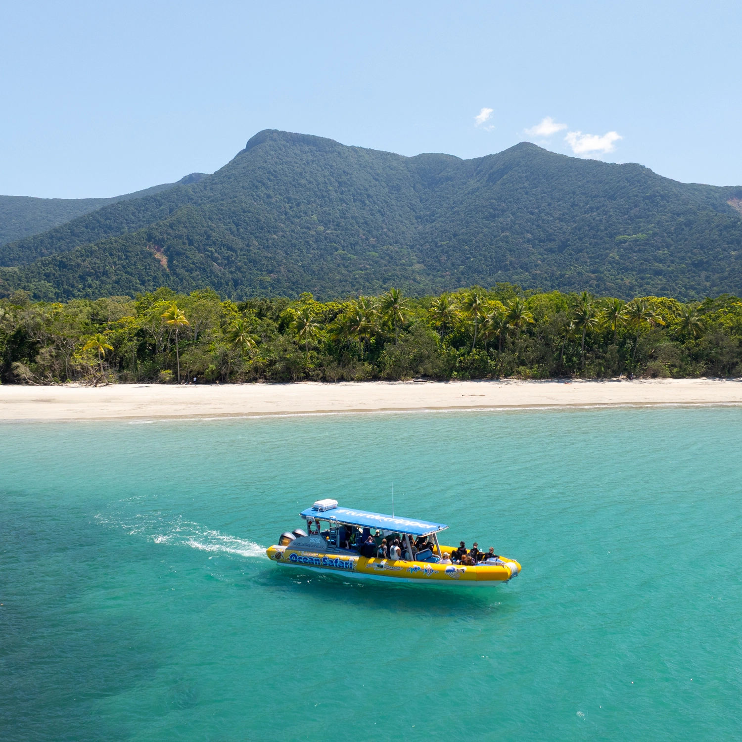 Daintree Discover: Rainforest, Reef & Ziplining (2 Day) 3