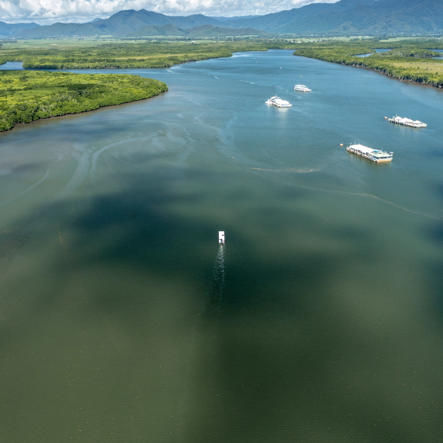 Cairns River Cruise 8