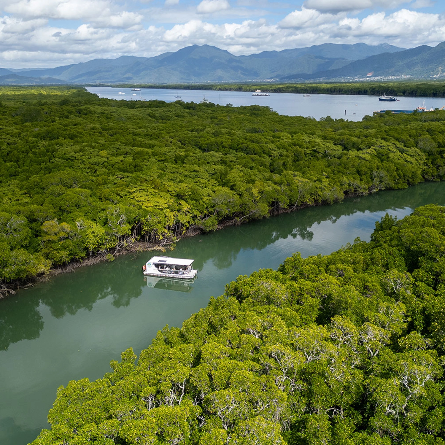 Cairns River Cruise 5