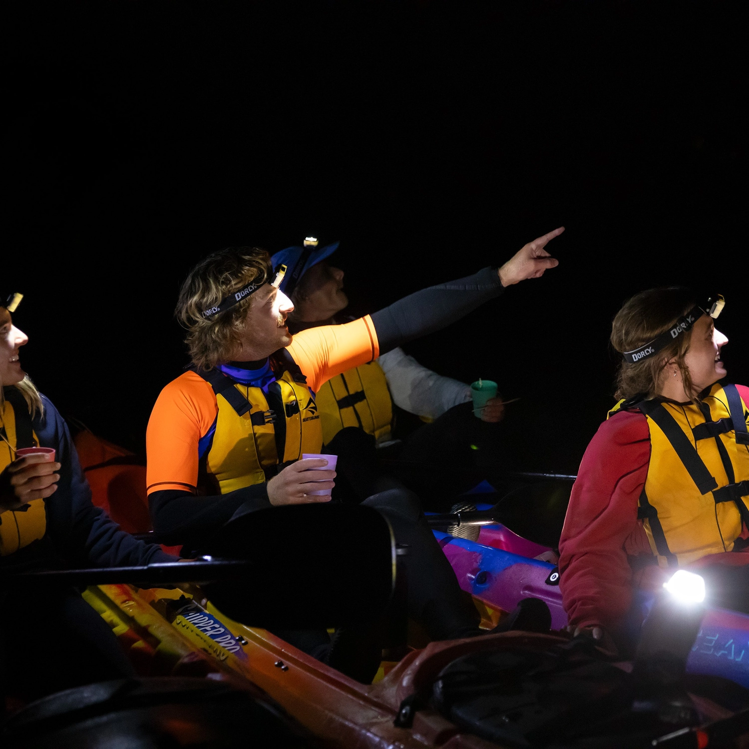 Night Sky and Nature: Twilight Kayaking on the Great Ocean Road 4