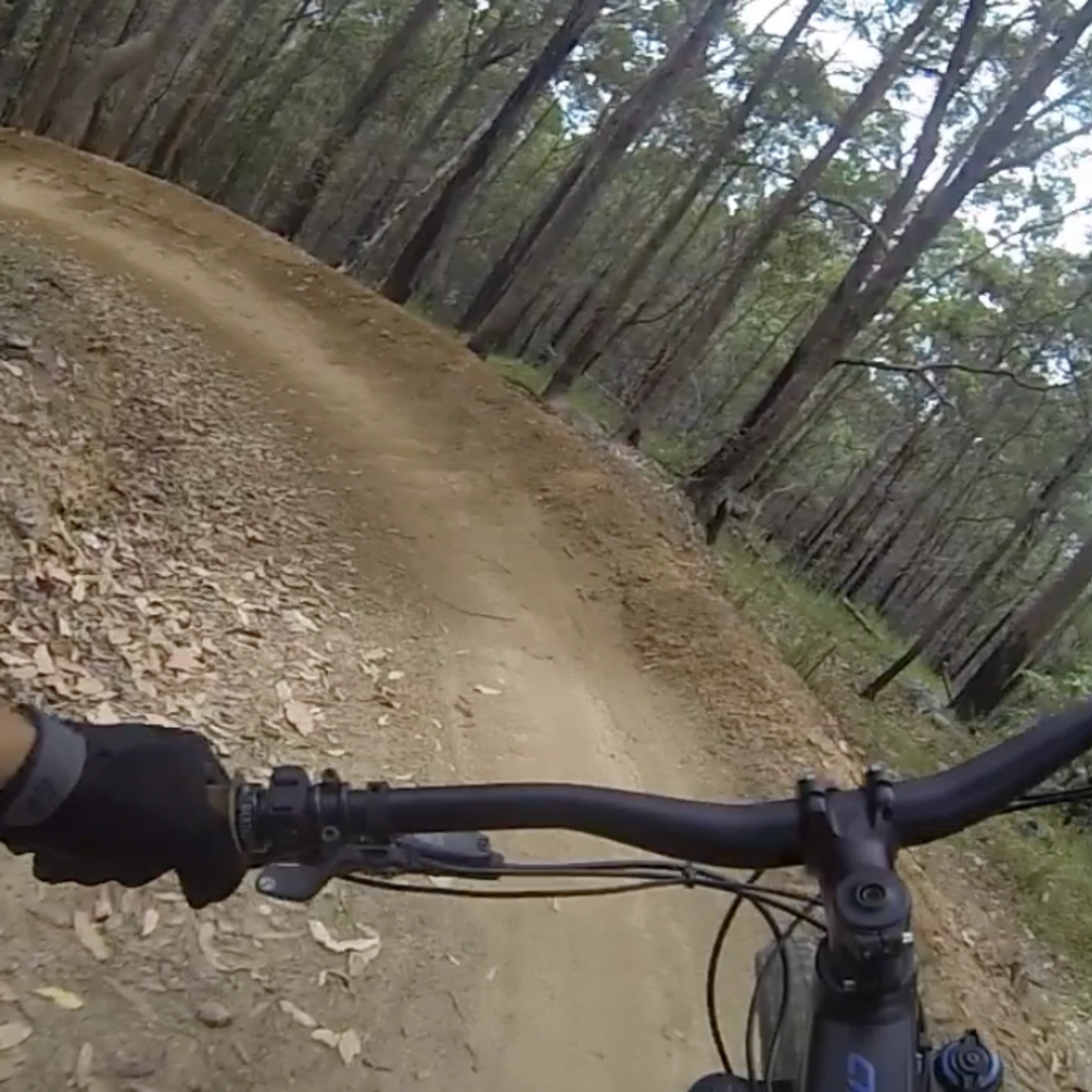 E- Mtn Bike Tour - Group of 2