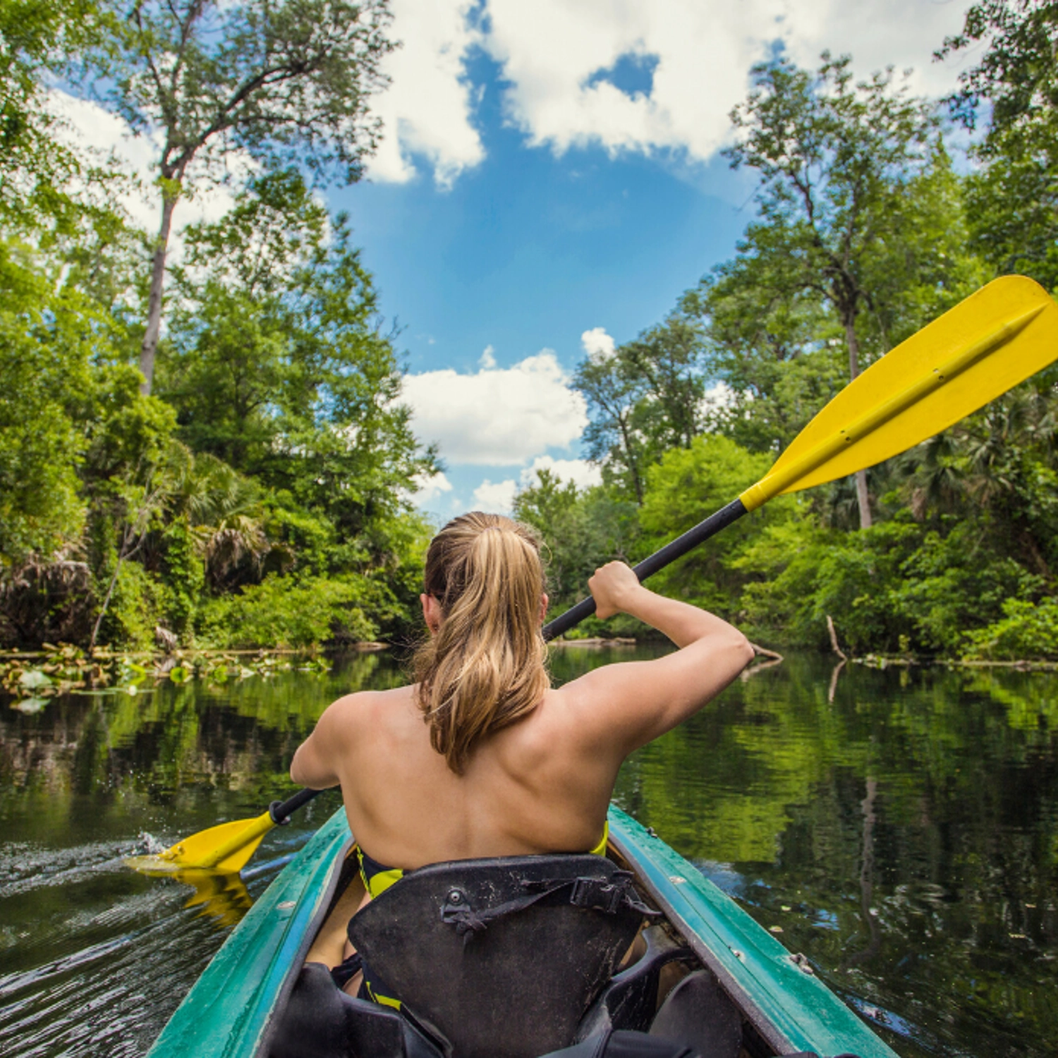 Kayak Tour Noosa/Southern end Everglades & Stingrays AM 4