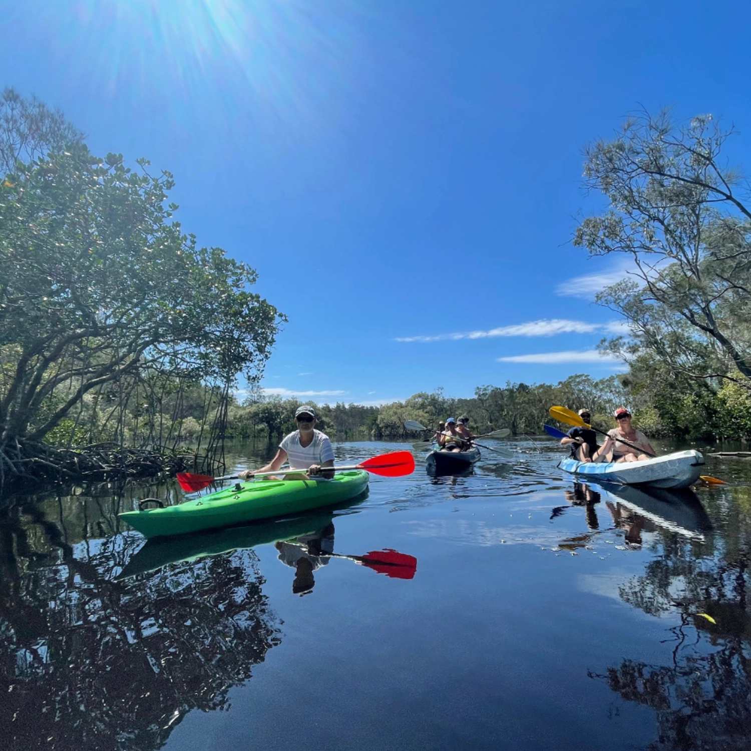 Kayak Tour Noosa/Southern end Everglades & Stingrays PM 4