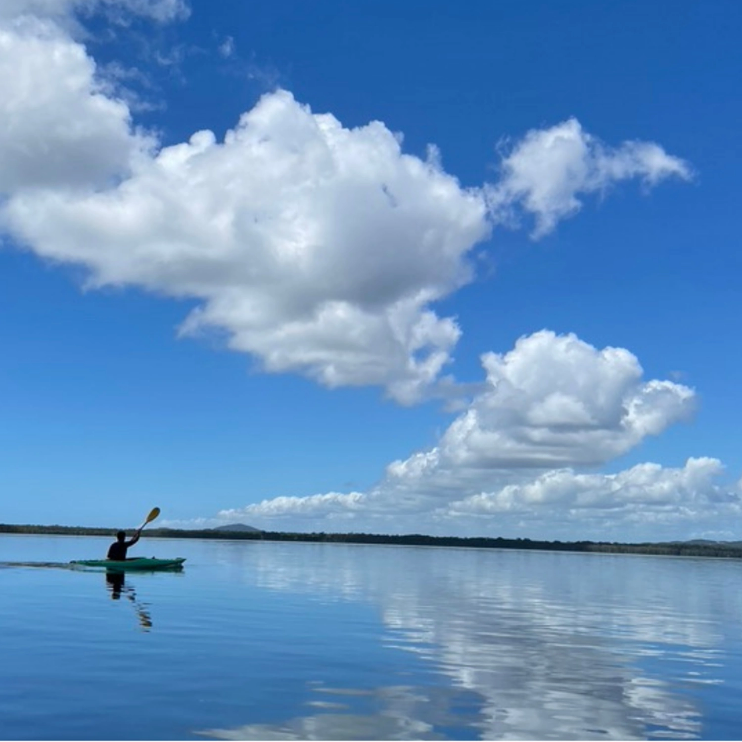 Kayak Tour Noosa/Southern end Everglades & Stingrays PM
