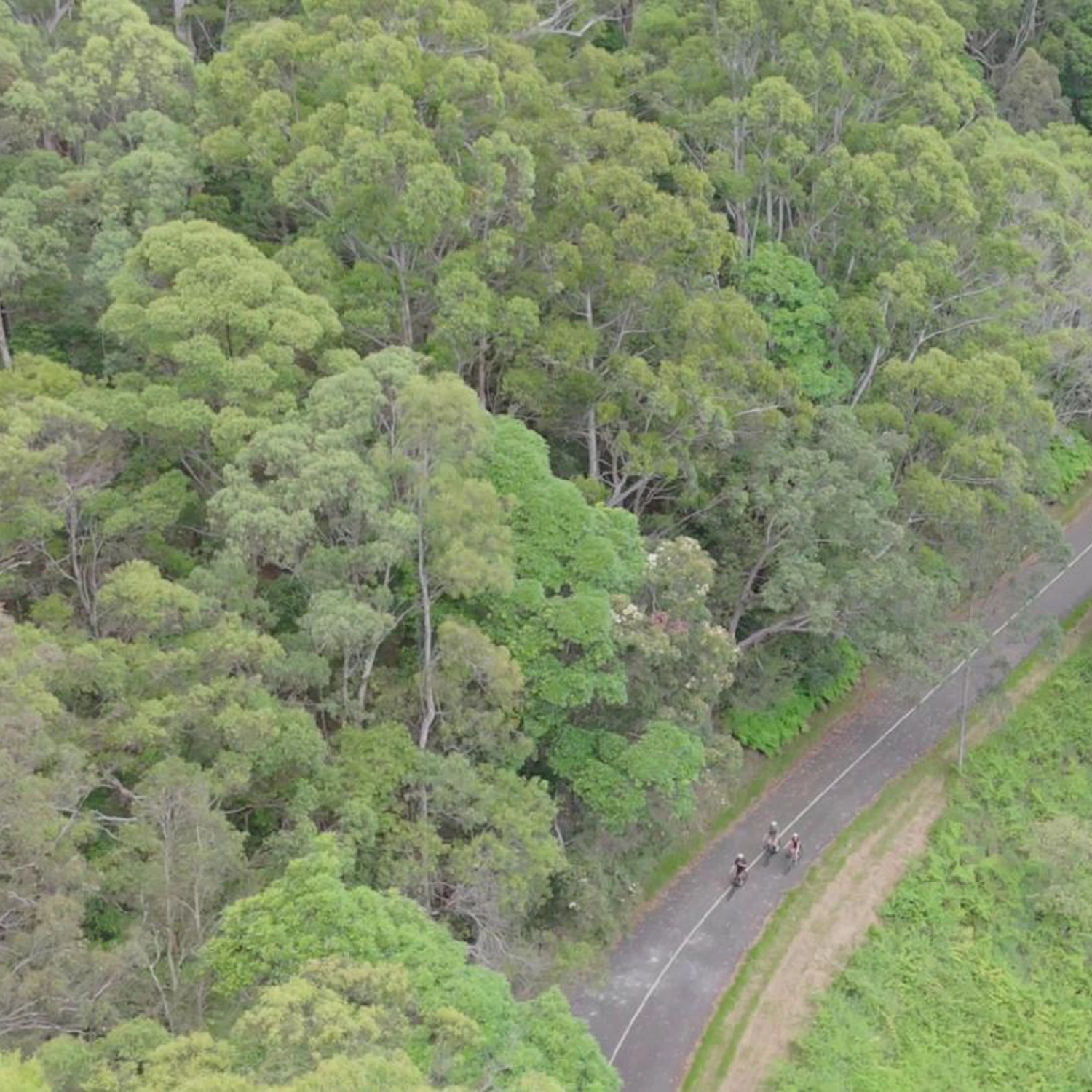 Noosa E Bike Tour - Mt Tinbeerwah to Noosa 2