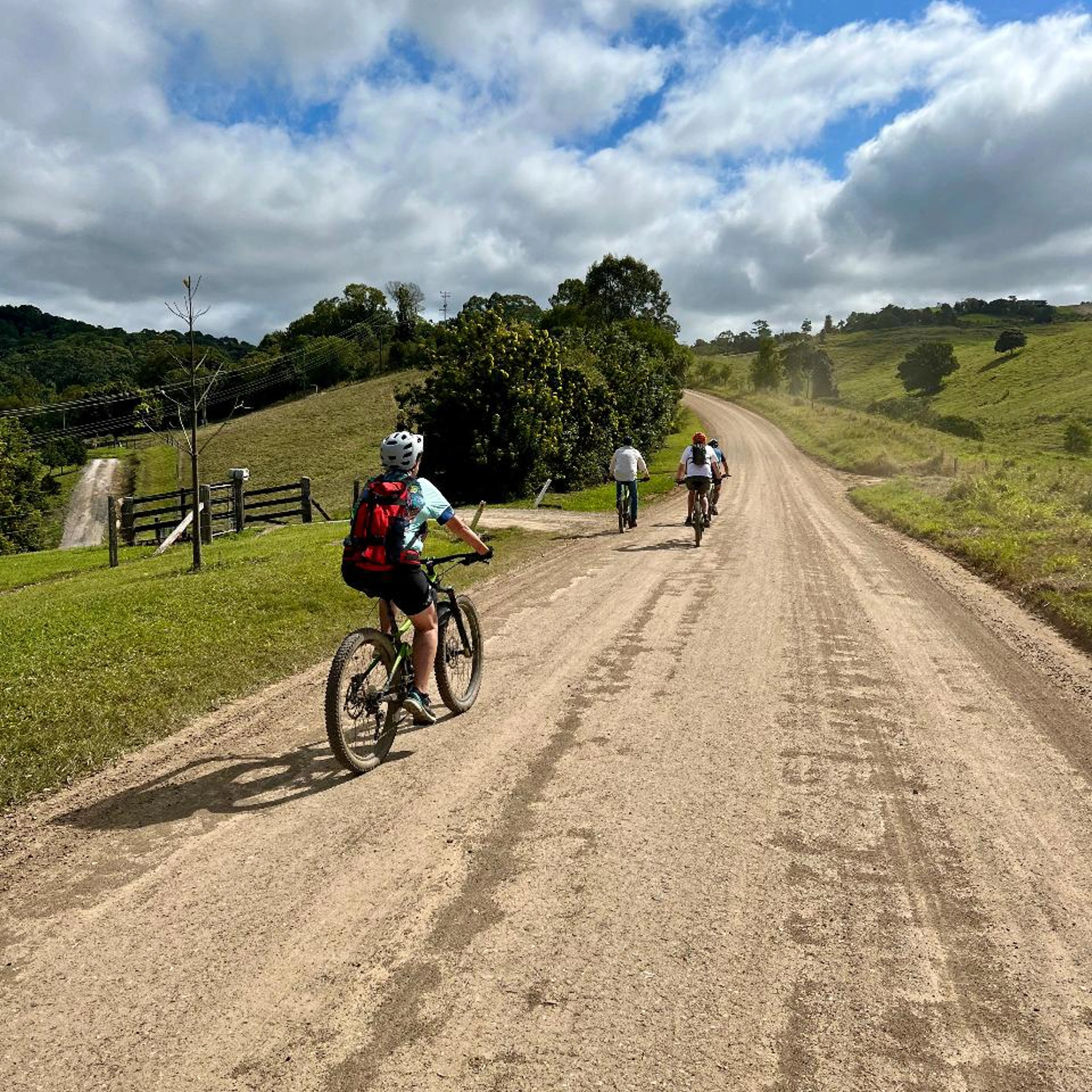 Scenic MTB Ride of the Noosa Biosphere Trail Network - Group of 2 3
