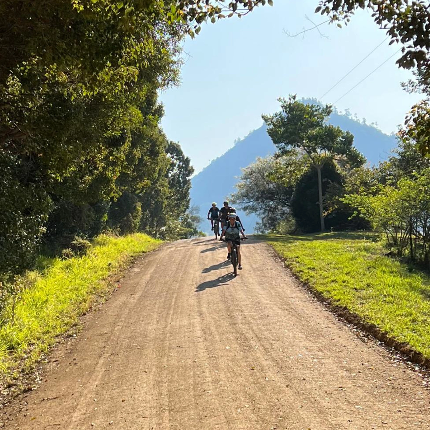 Scenic MTB Ride of the Noosa Biosphere Trail Network - Group of 3 - 8