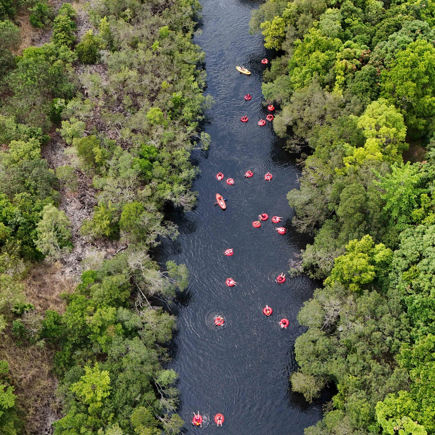 Rainforest River Tubing 2
