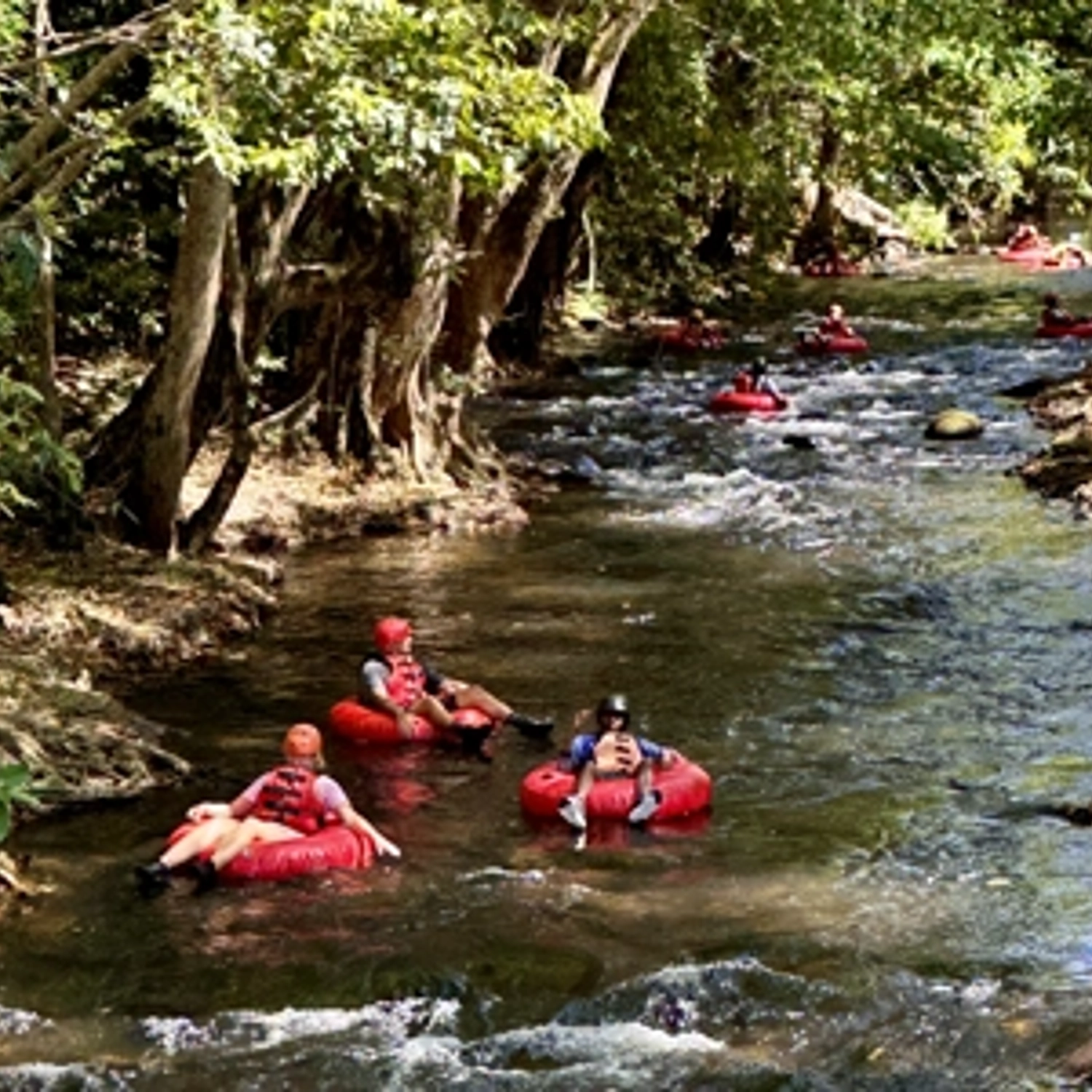 Rainforest River Tubing