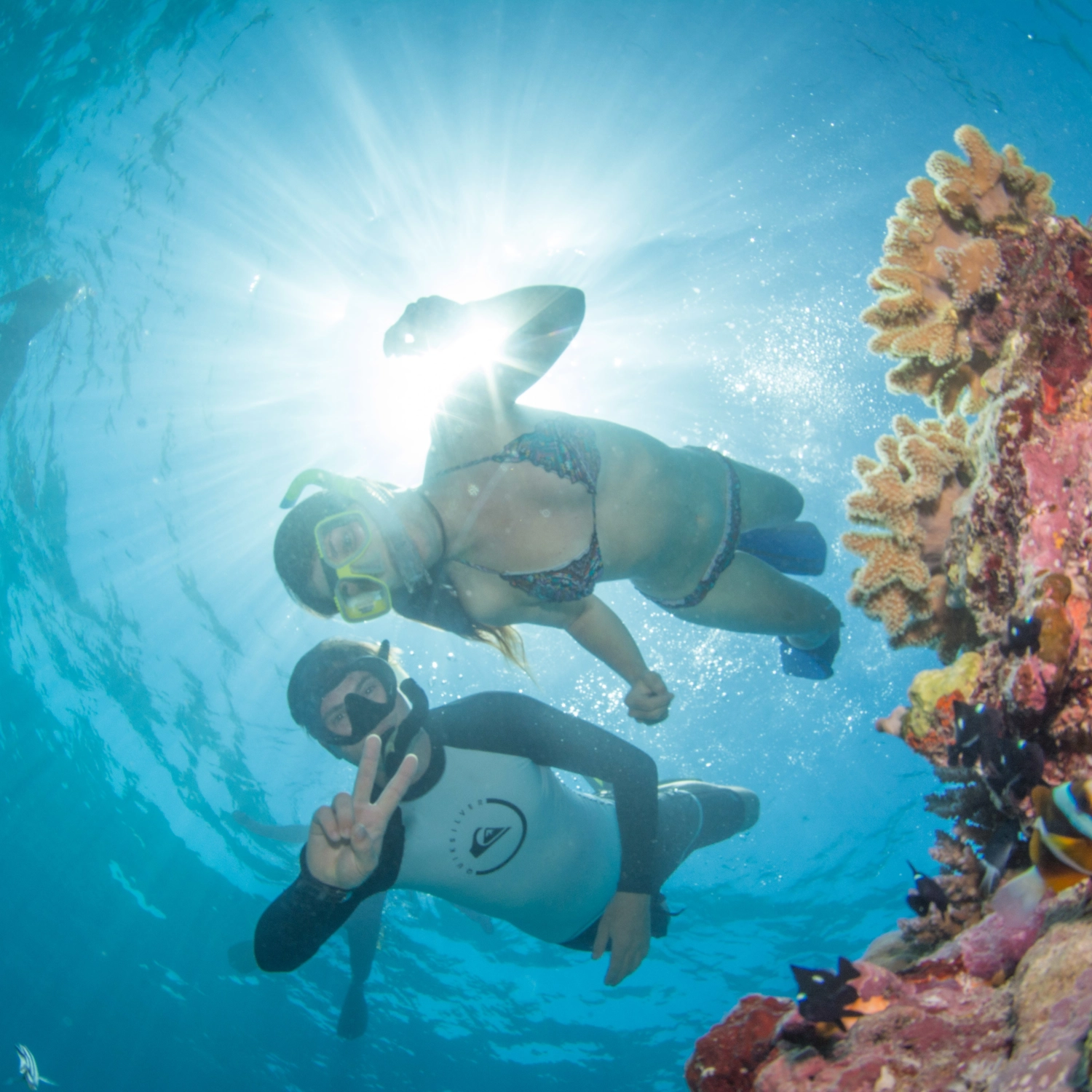 Full Day Outer Reef + 2 Certified Dives 7