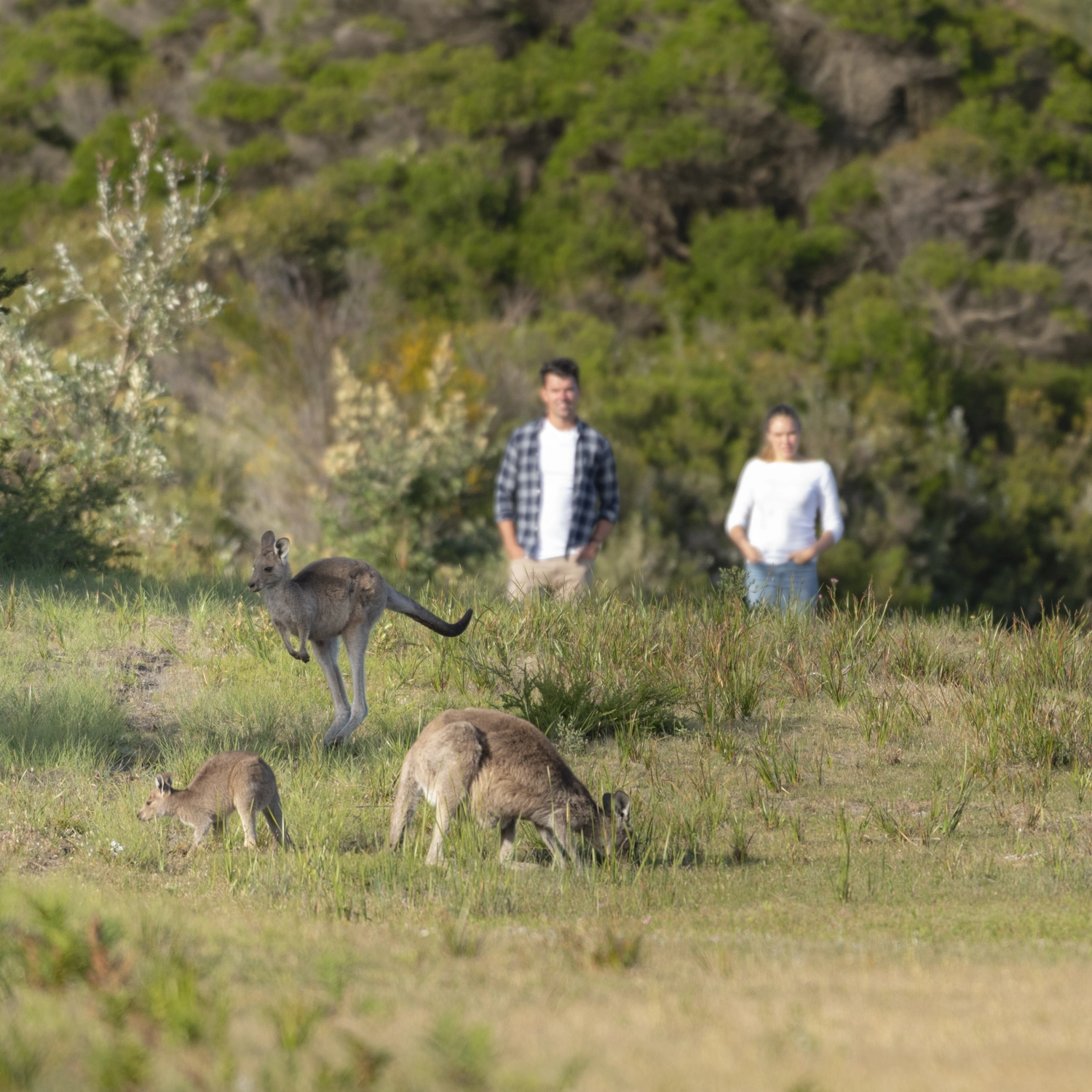 Explore Wilsons Promontory Ultimate Day Tour including Cruise 2