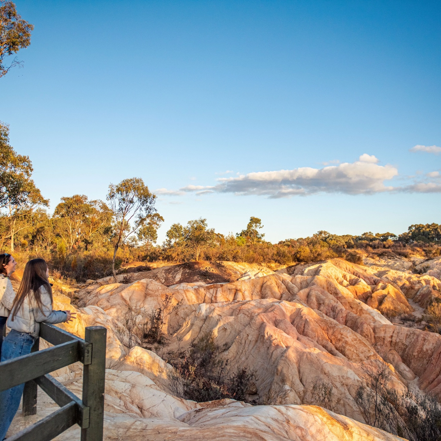 Murray River, Paddle Steamer & Wildlife Experience 2