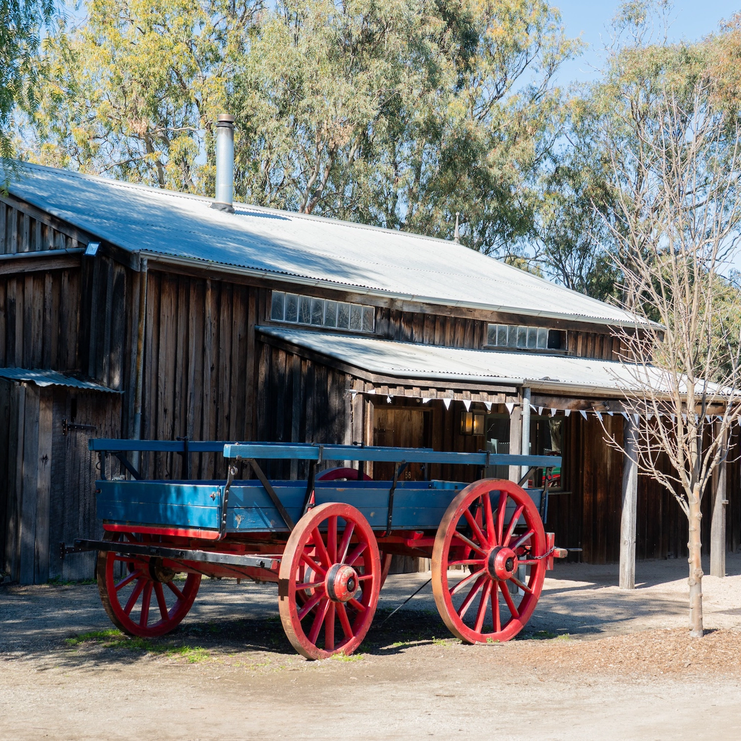 Murray River, Paddle Steamer & Wildlife Experience 4