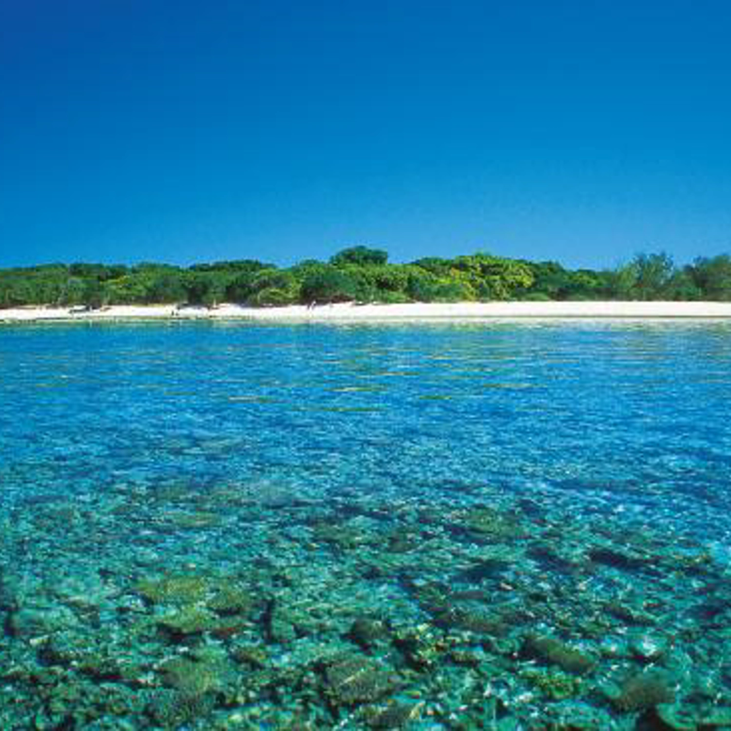 Lady Musgrave Island Day Tour - April Onwards