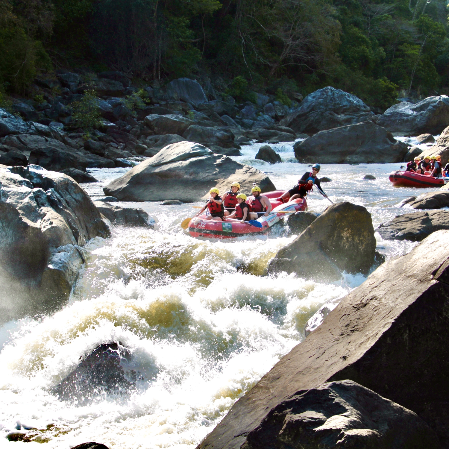 Barron River Rafting (Port Douglas Return)