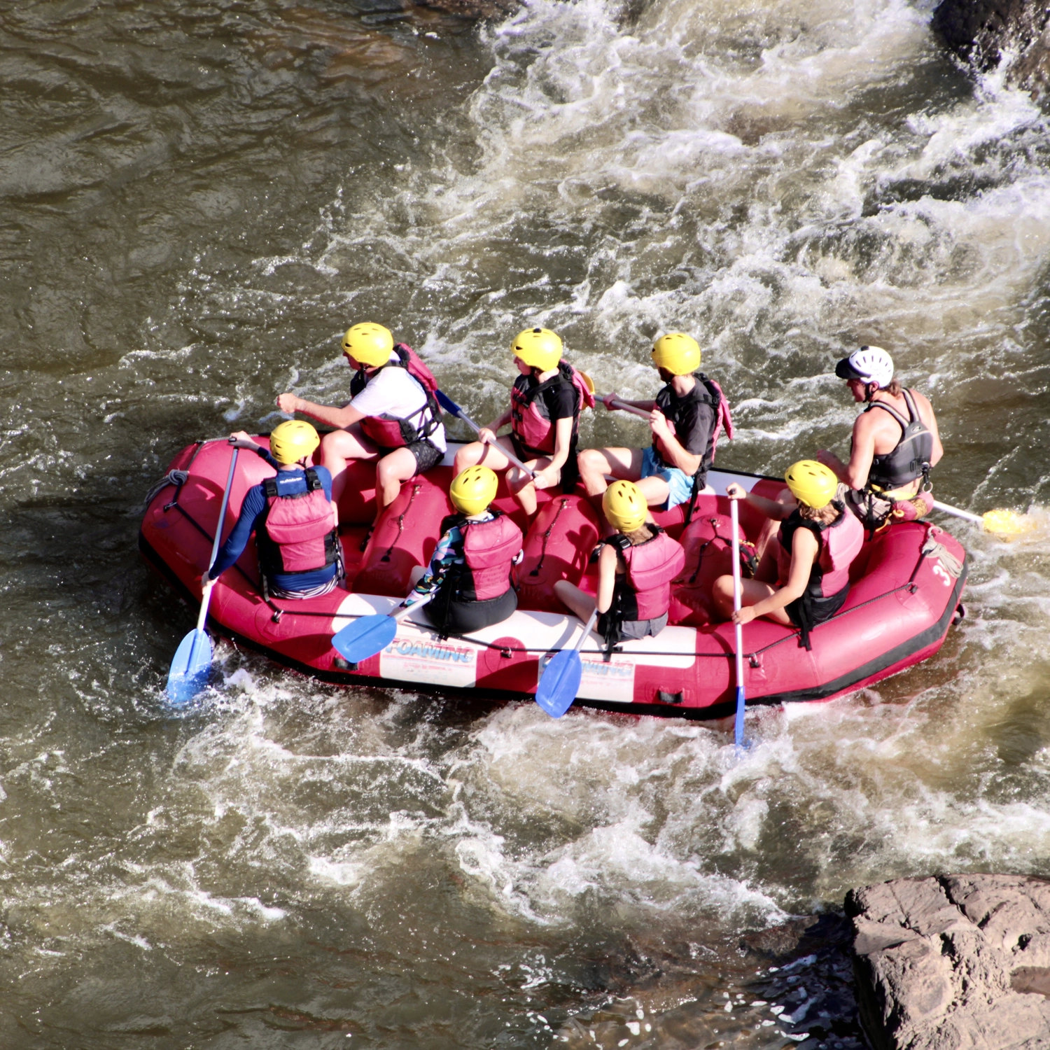 Barron River Rafting (Port Douglas Return) 5