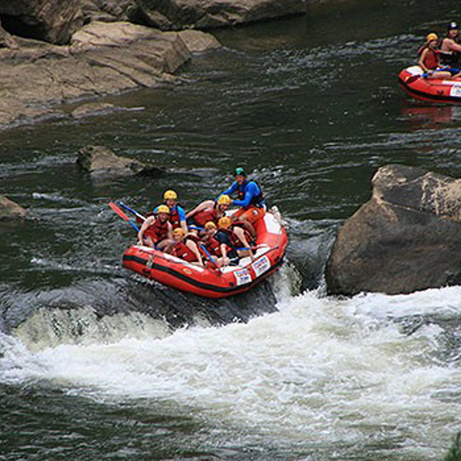Barron River Rafting (Cairns Return Transfer) 3